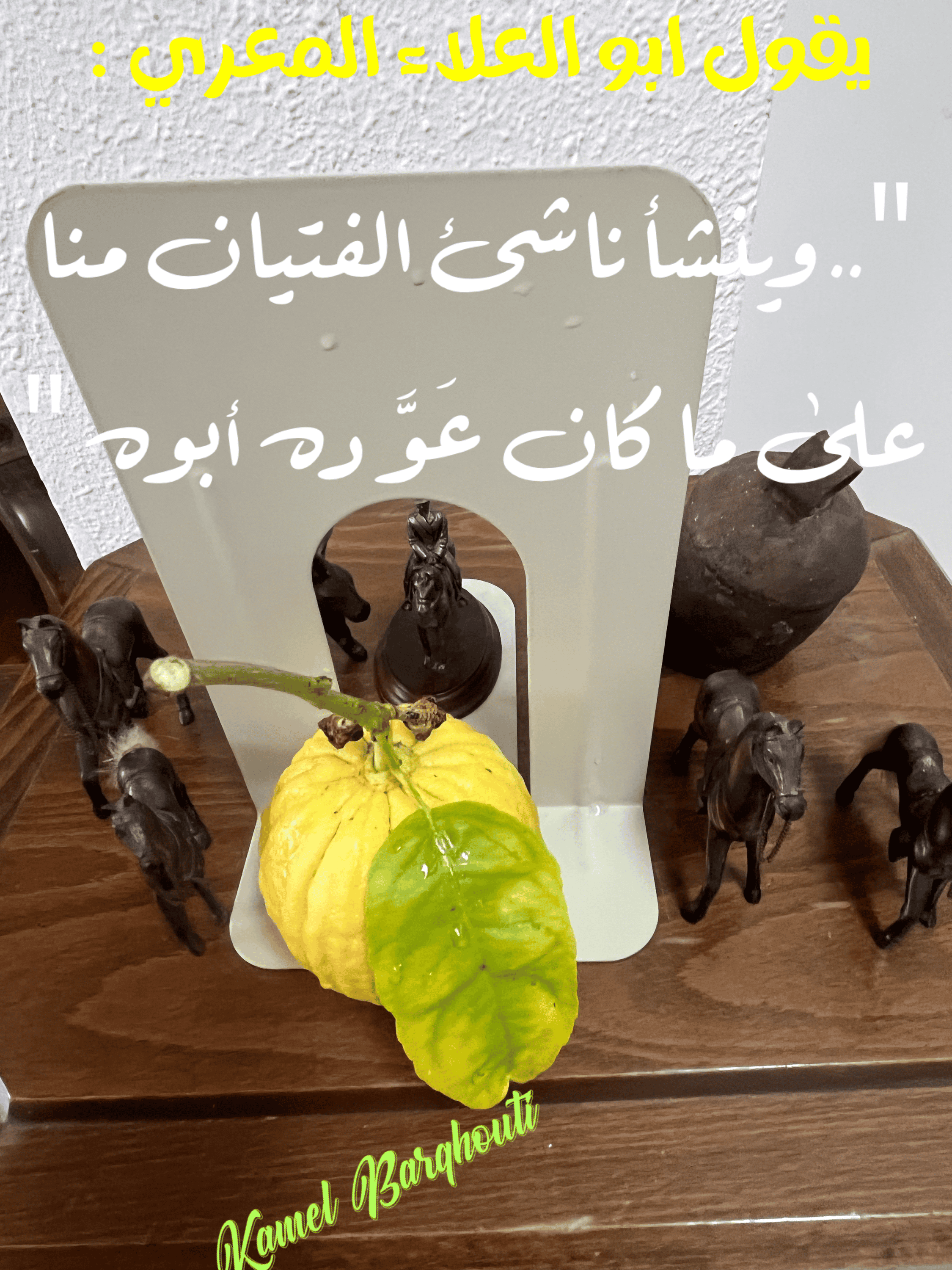 عائلة – اقتباس 19