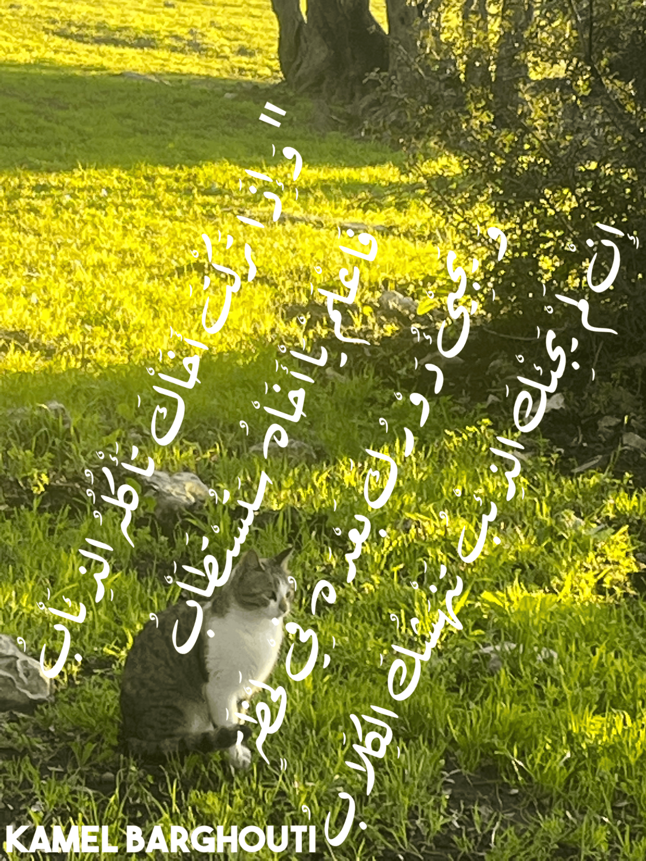 عائلة – اقتباس 7