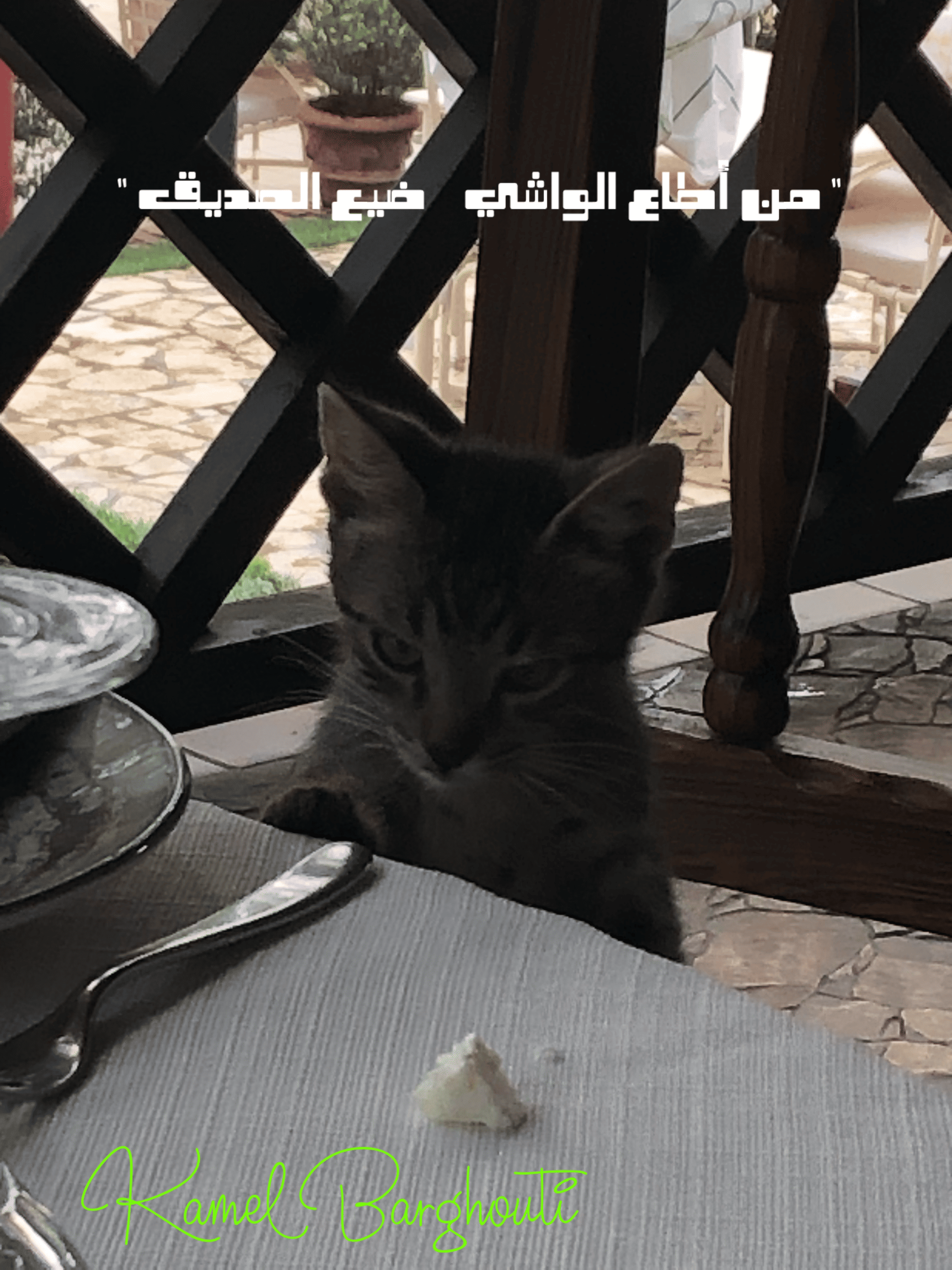 صداقة – اقتباس 147