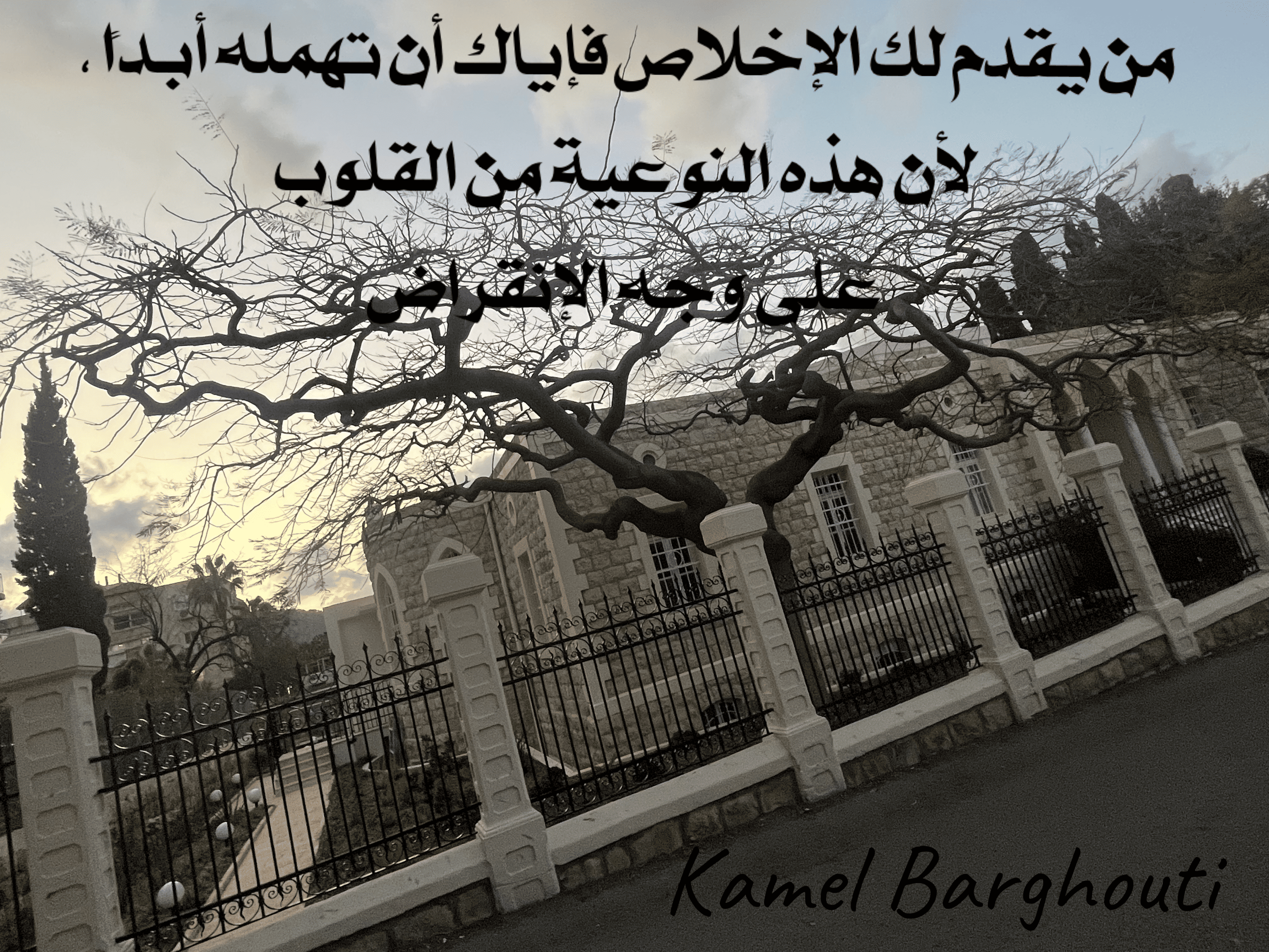 صداقة – اقتباس 145
