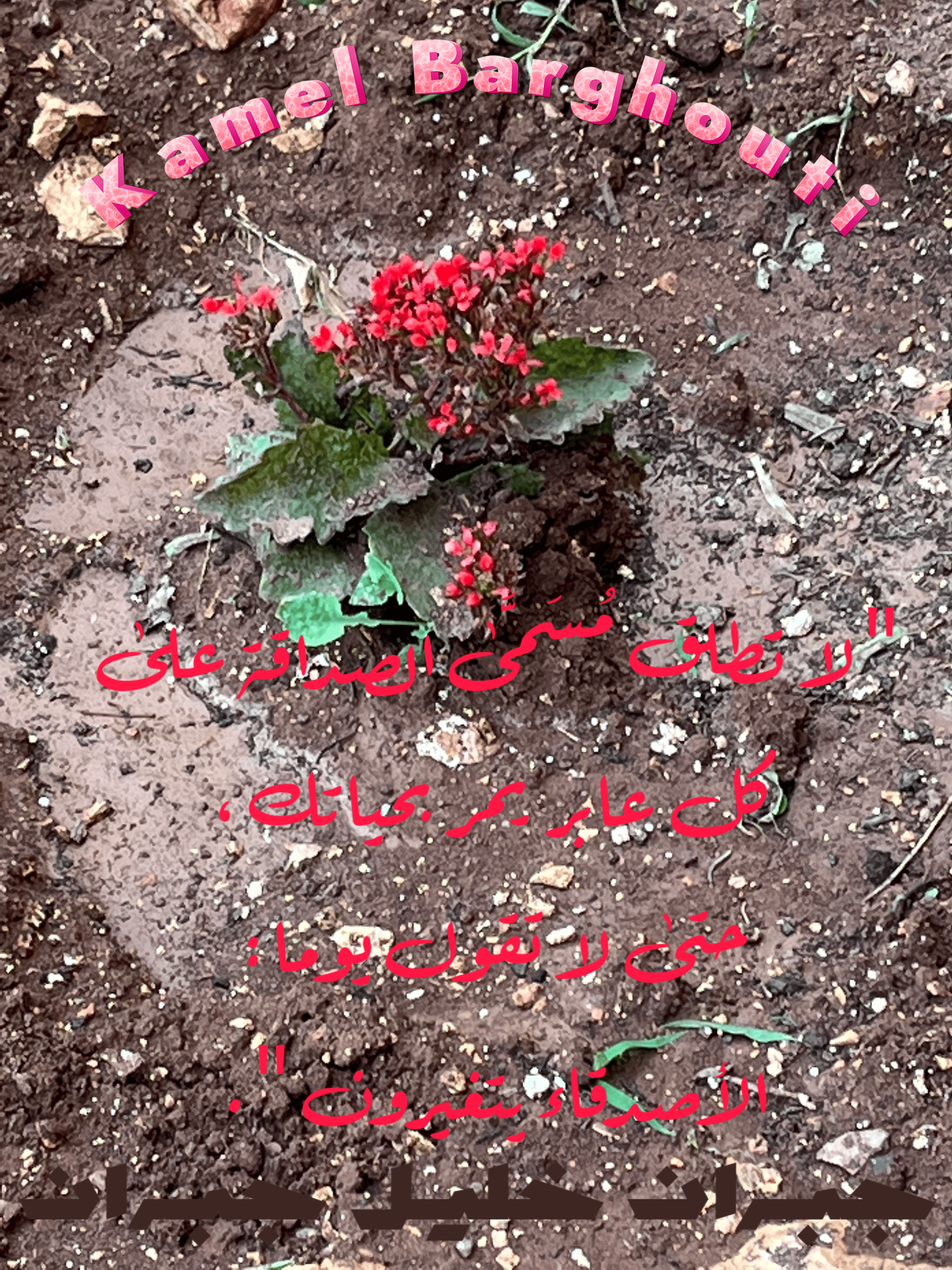 صداقة – اقتباس 140