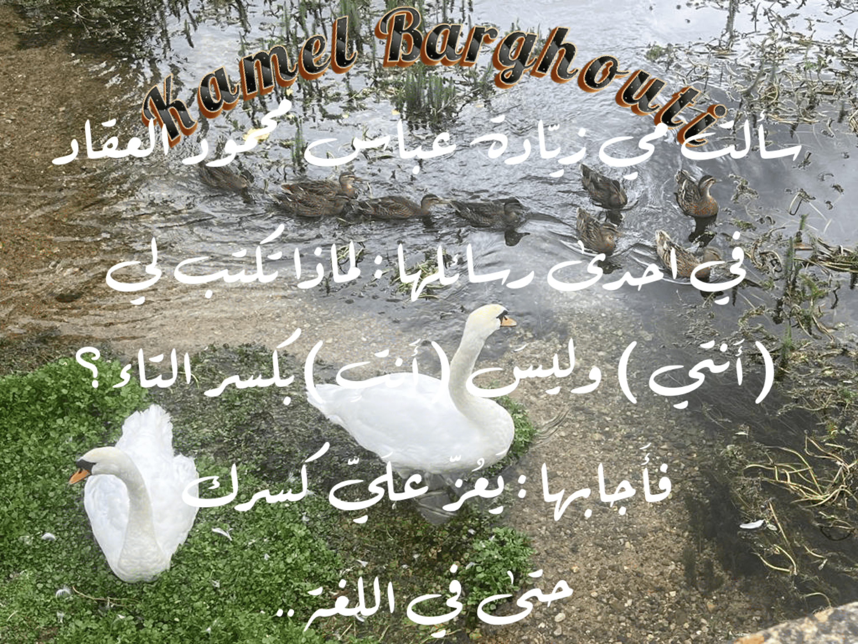 صداقة – اقتباس 142