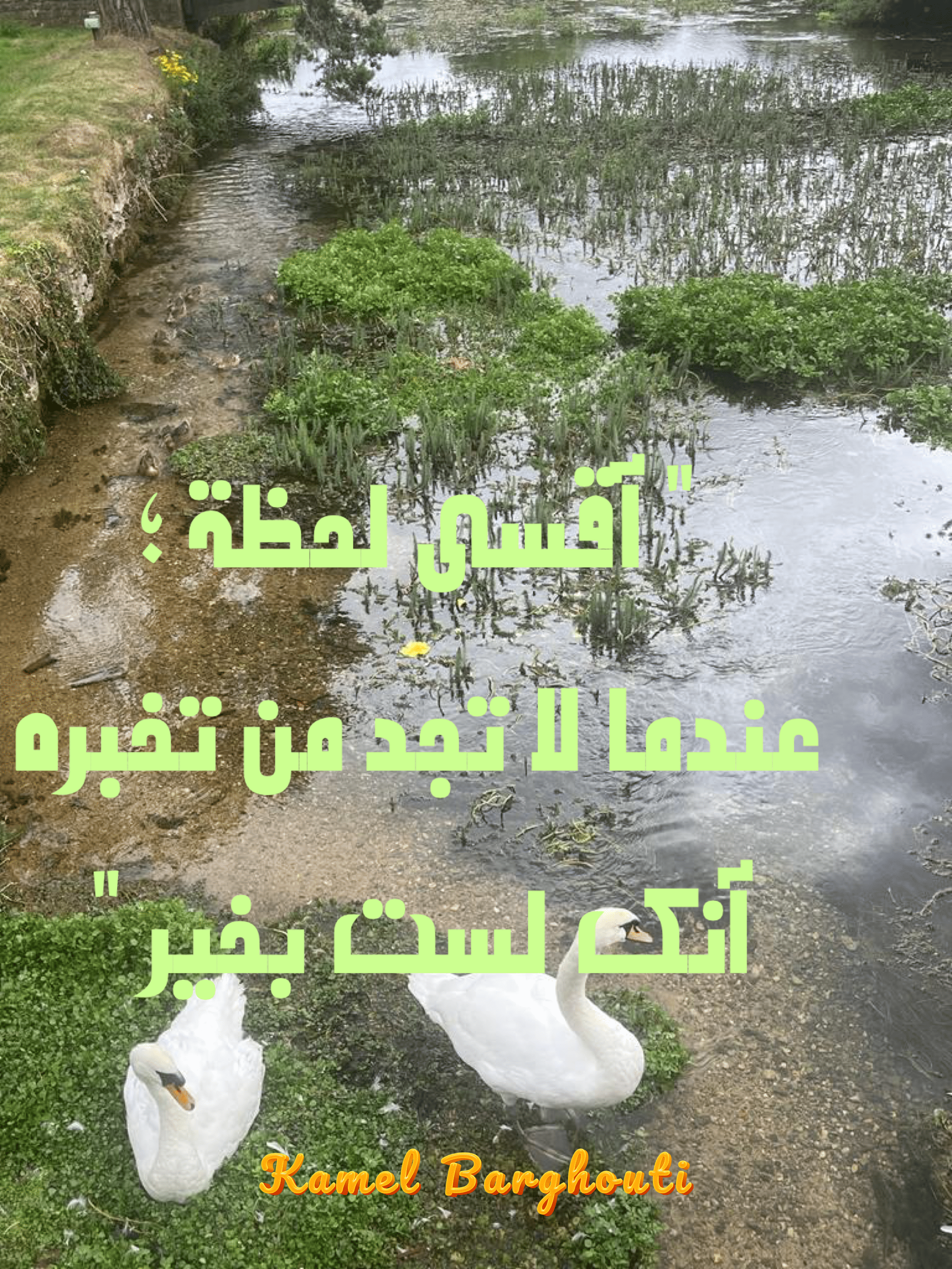 صداقة – اقتباس 131