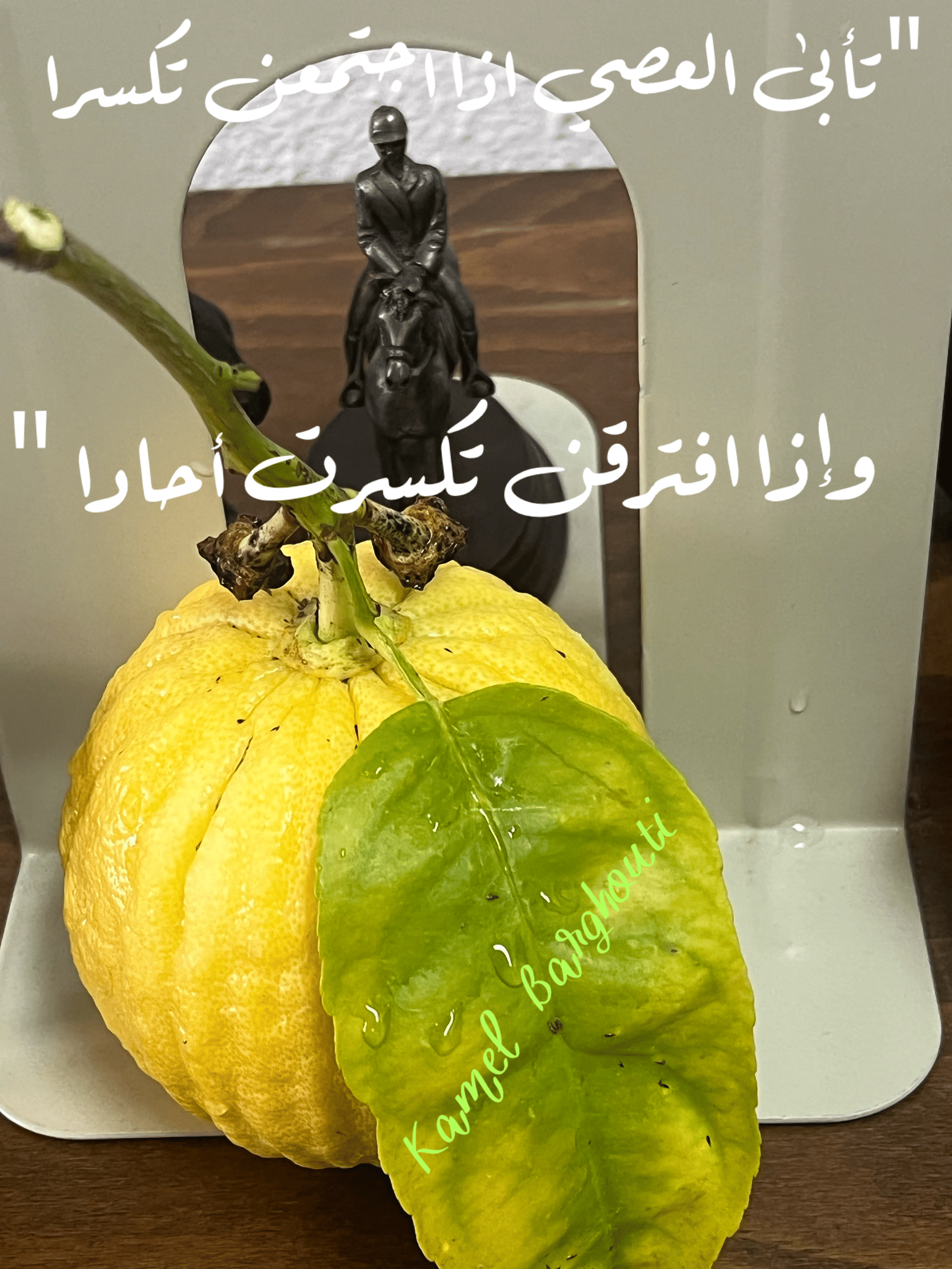 صداقة – اقتباس 134