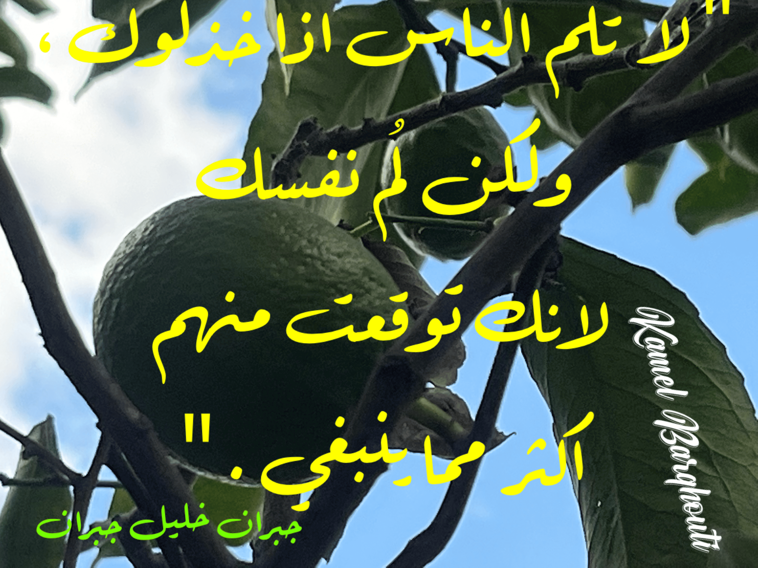 صداقة – اقتباس 115