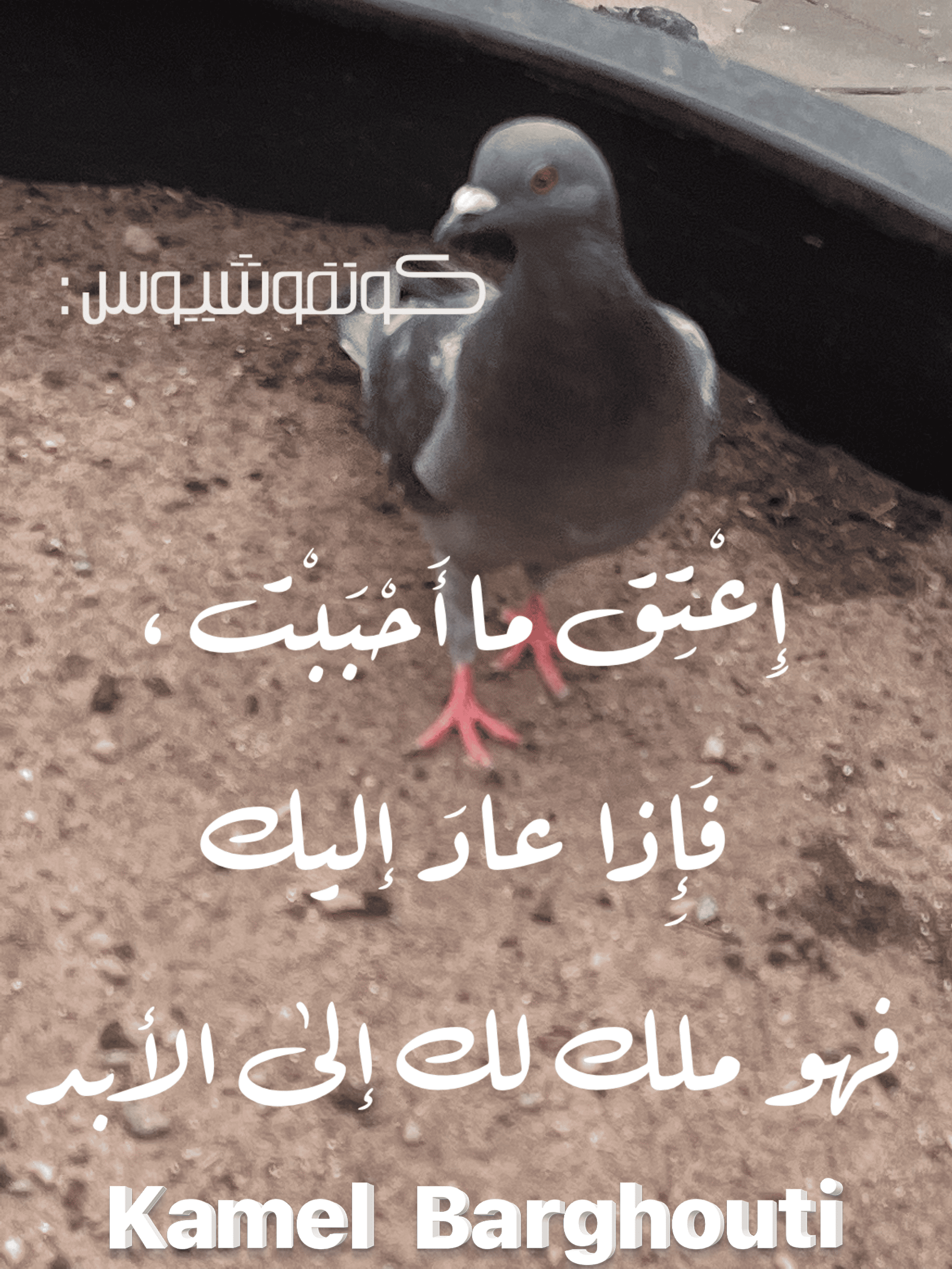 صداقة – اقتباس 107
