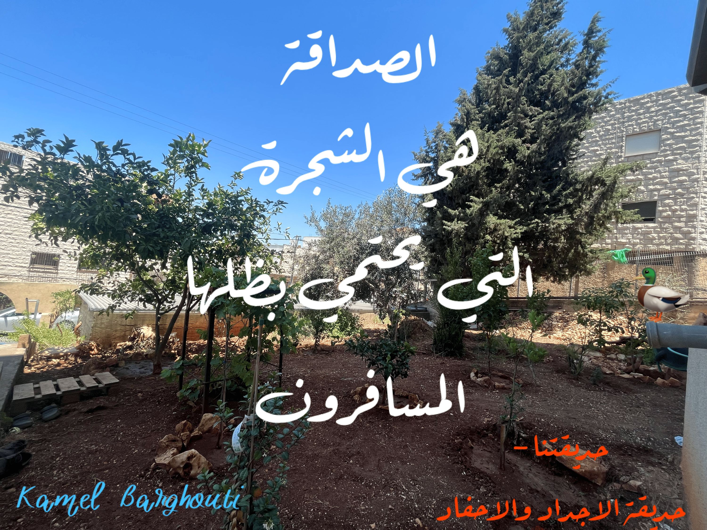 صداقة – اقتباس 76