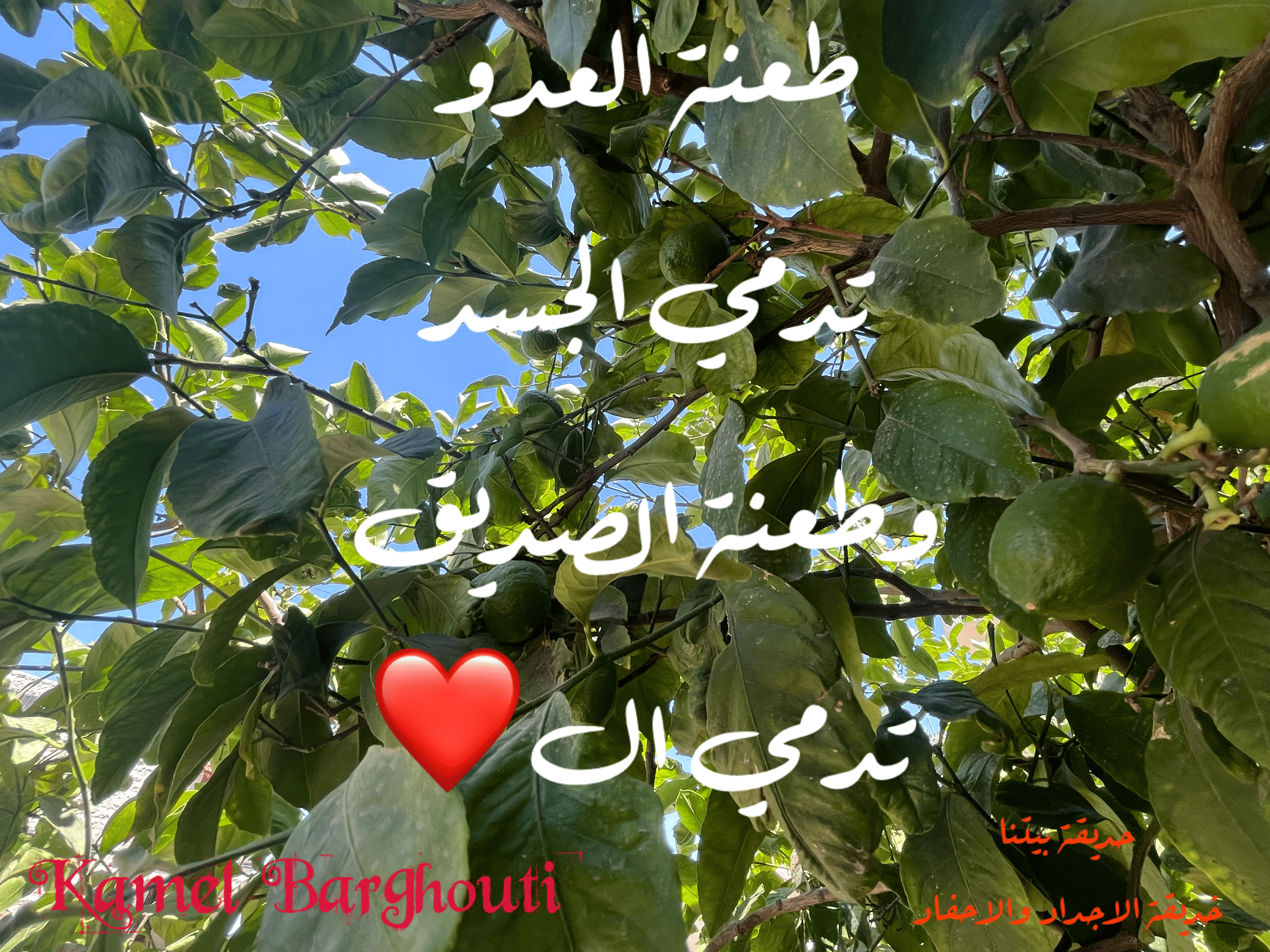 صداقة – اقتباس 71
