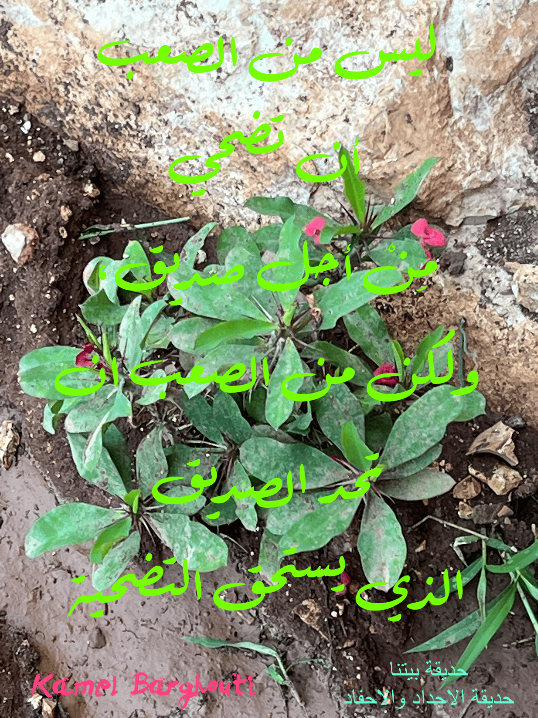 صداقة – اقتباس 72