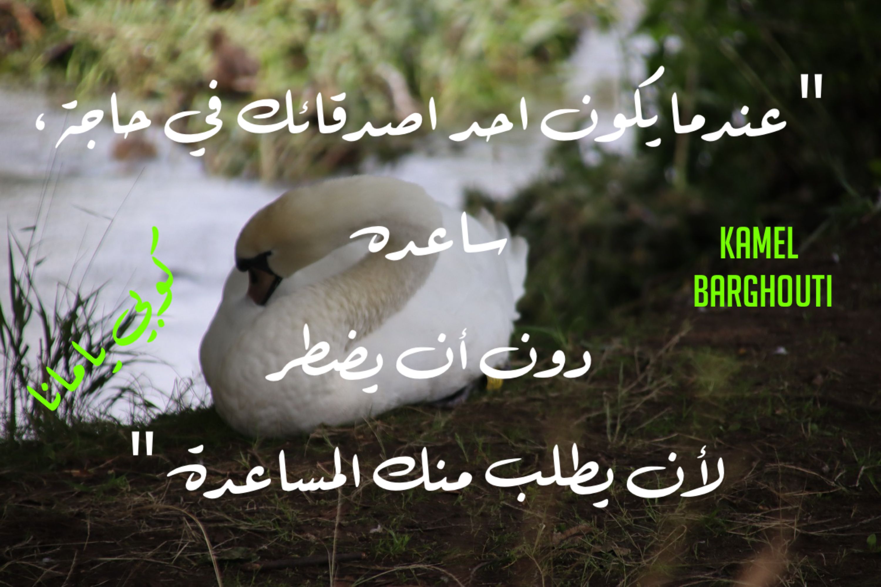 صداقة – اقتباس 68