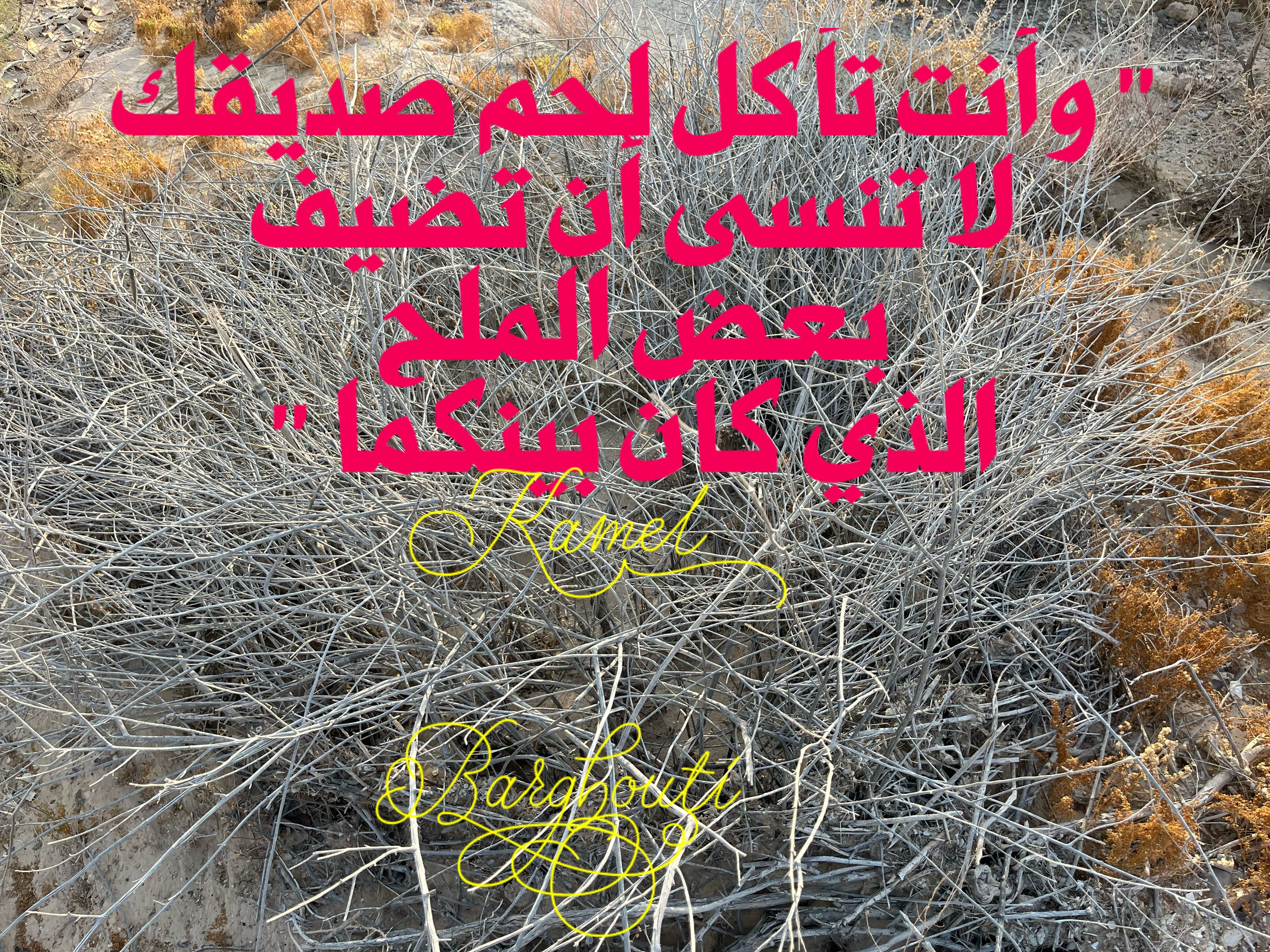صداقة – اقتباس 57
