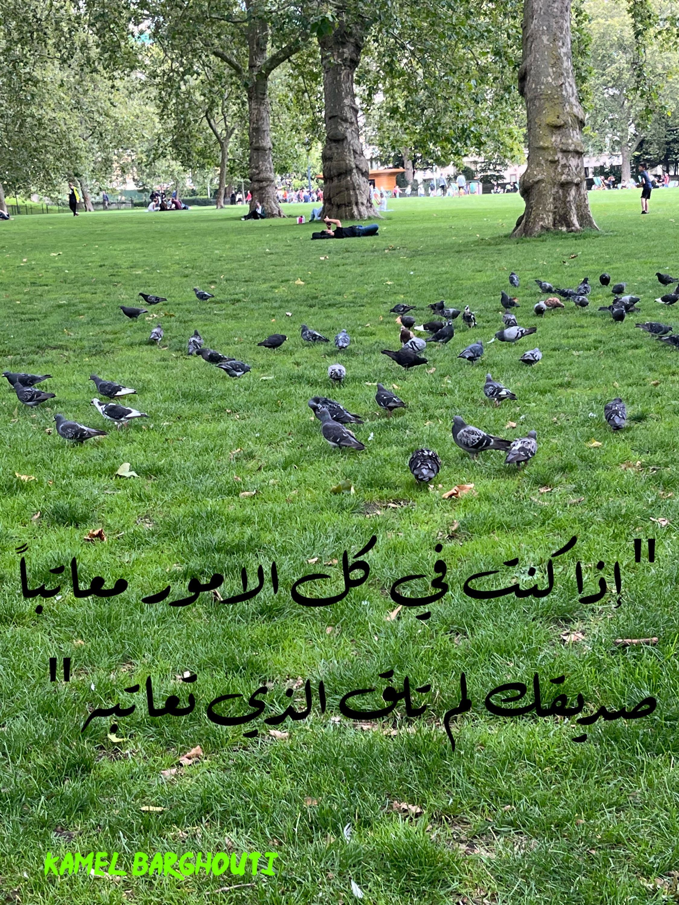 صداقة – اقتباس 33