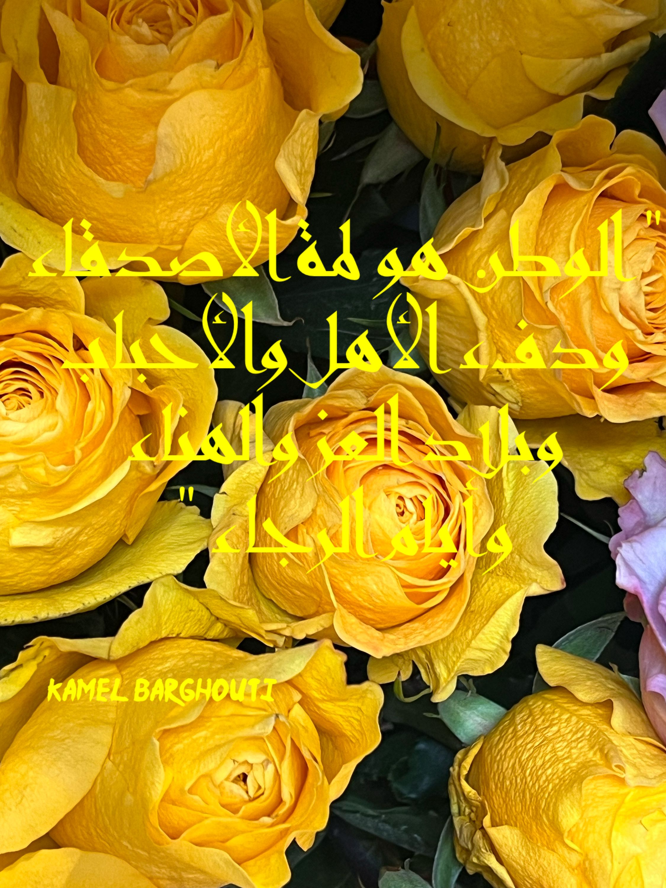 صداقة – اقتباس 42
