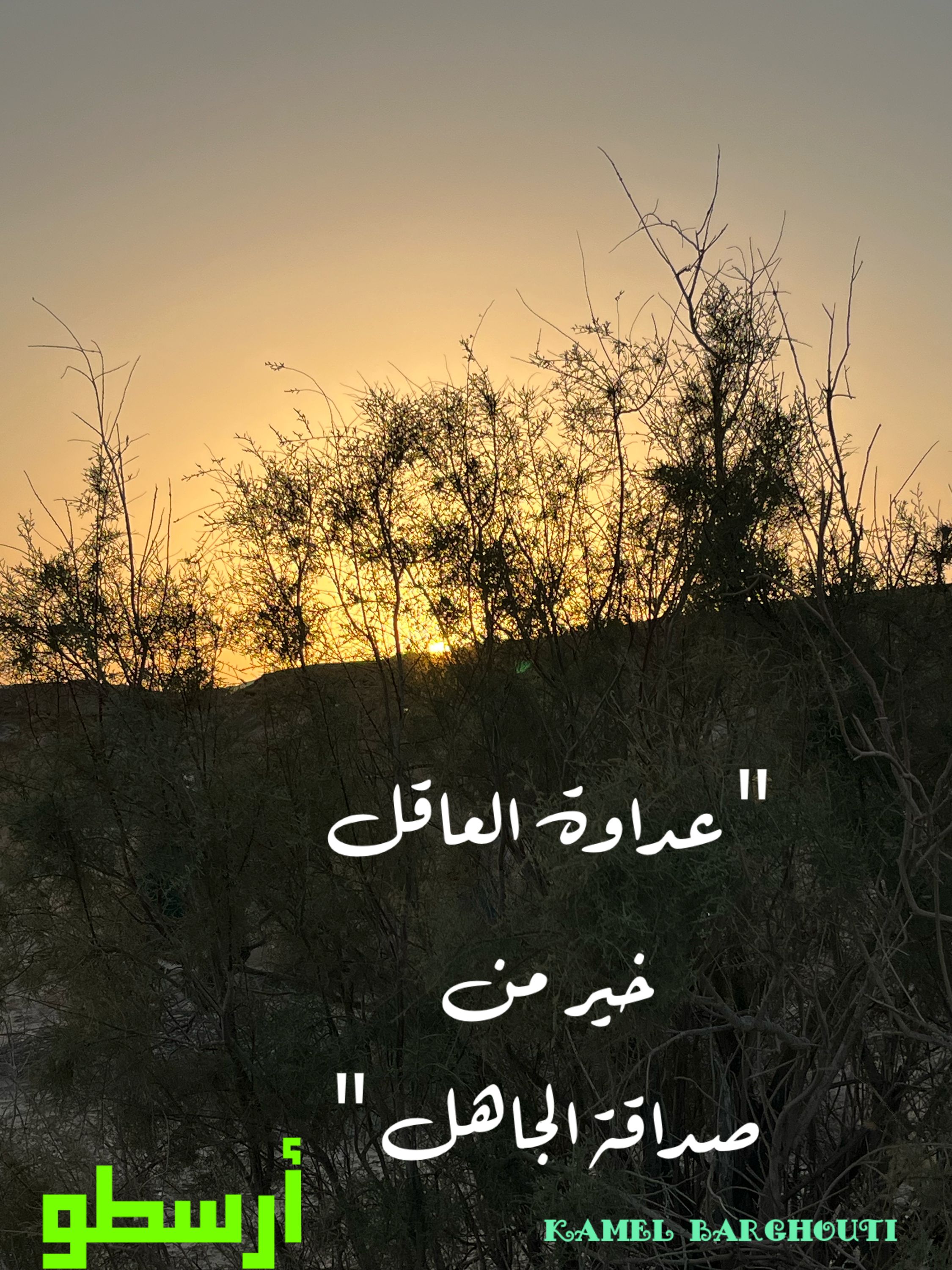 صداقة – اقتباس 49
