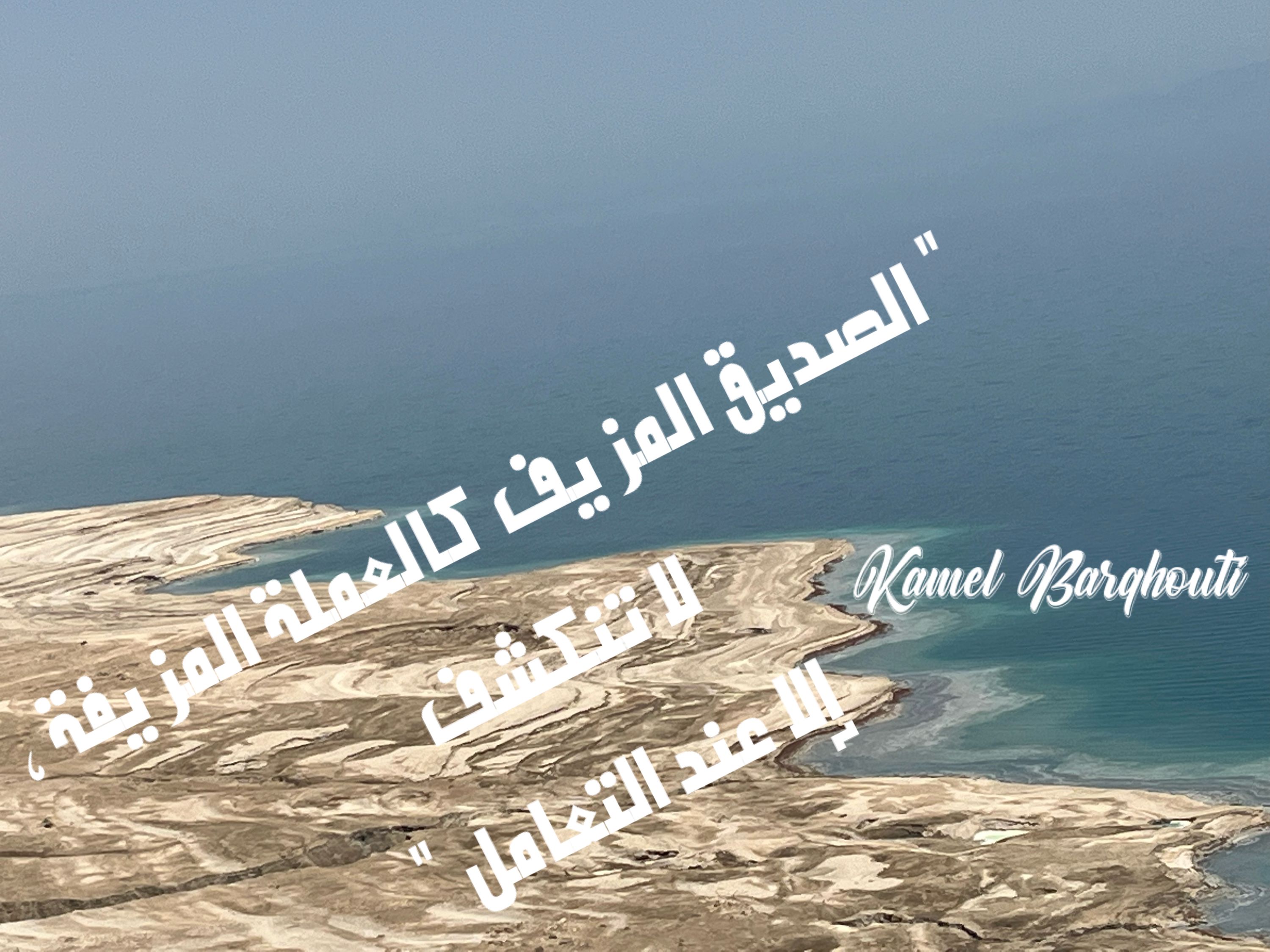صداقة – اقتباس 51