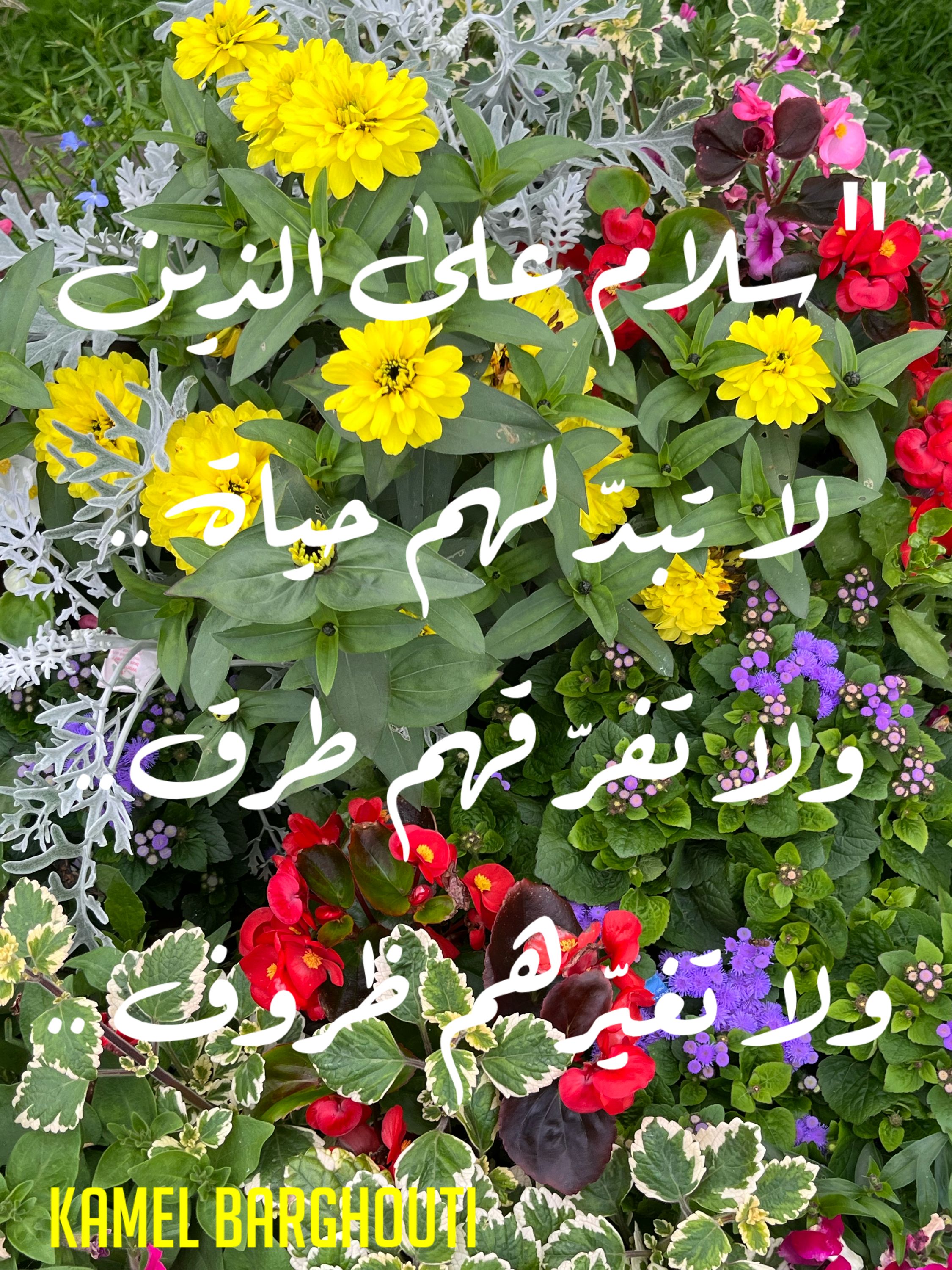 صداقة – اقتباس 47
