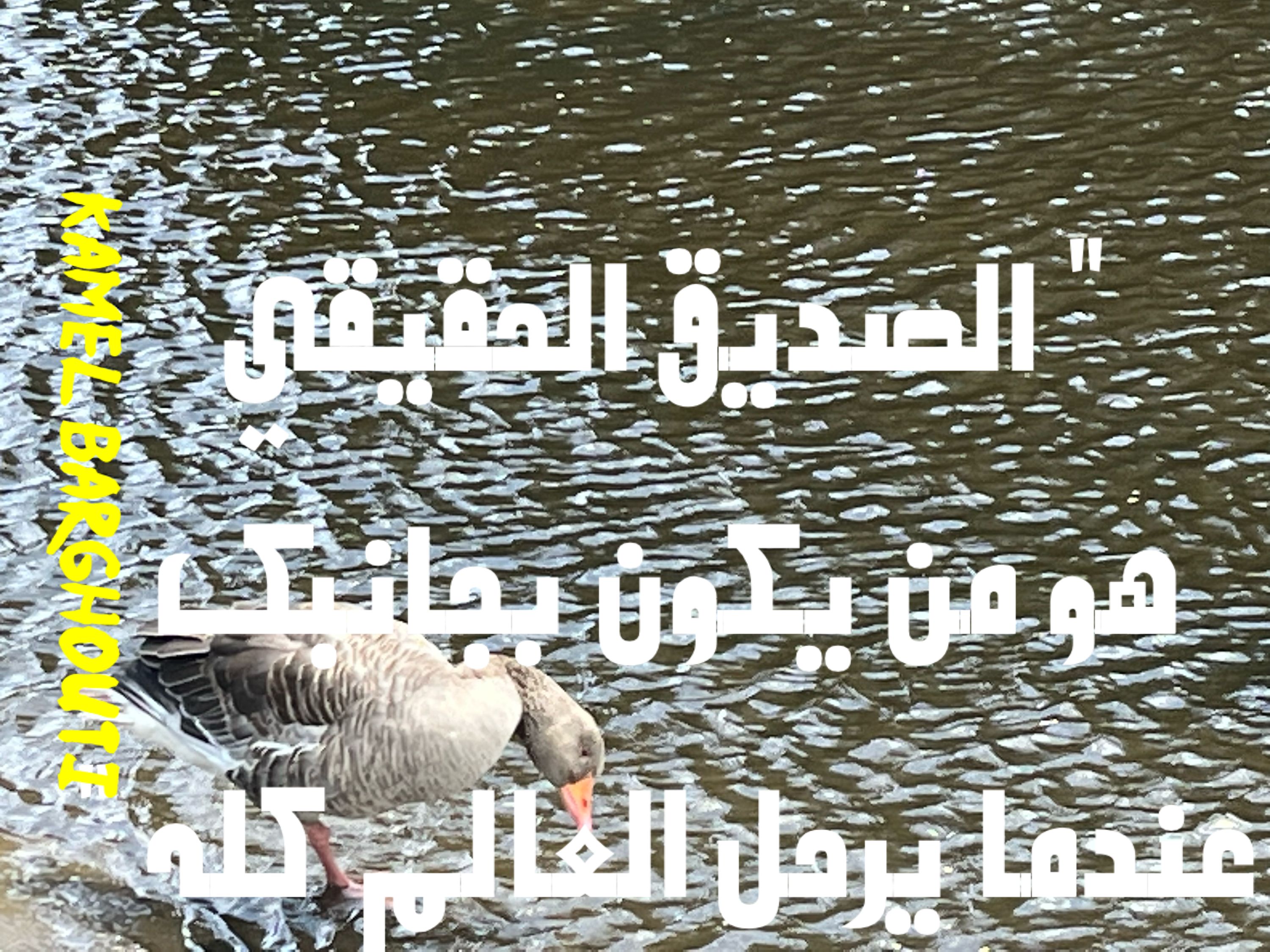 صداقة – اقتباس 39