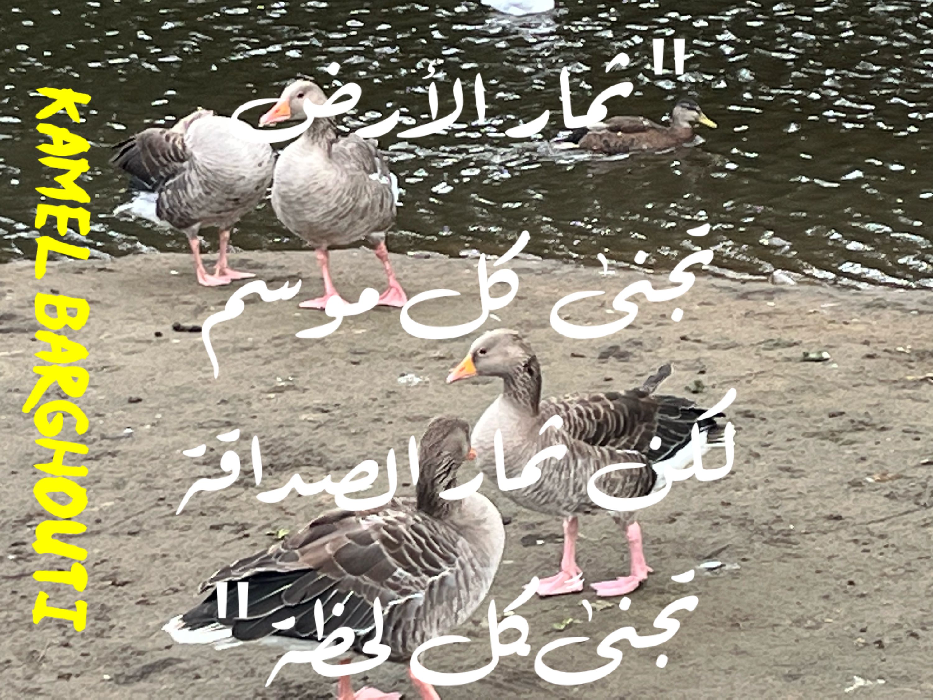 صداقة – اقتباس 40