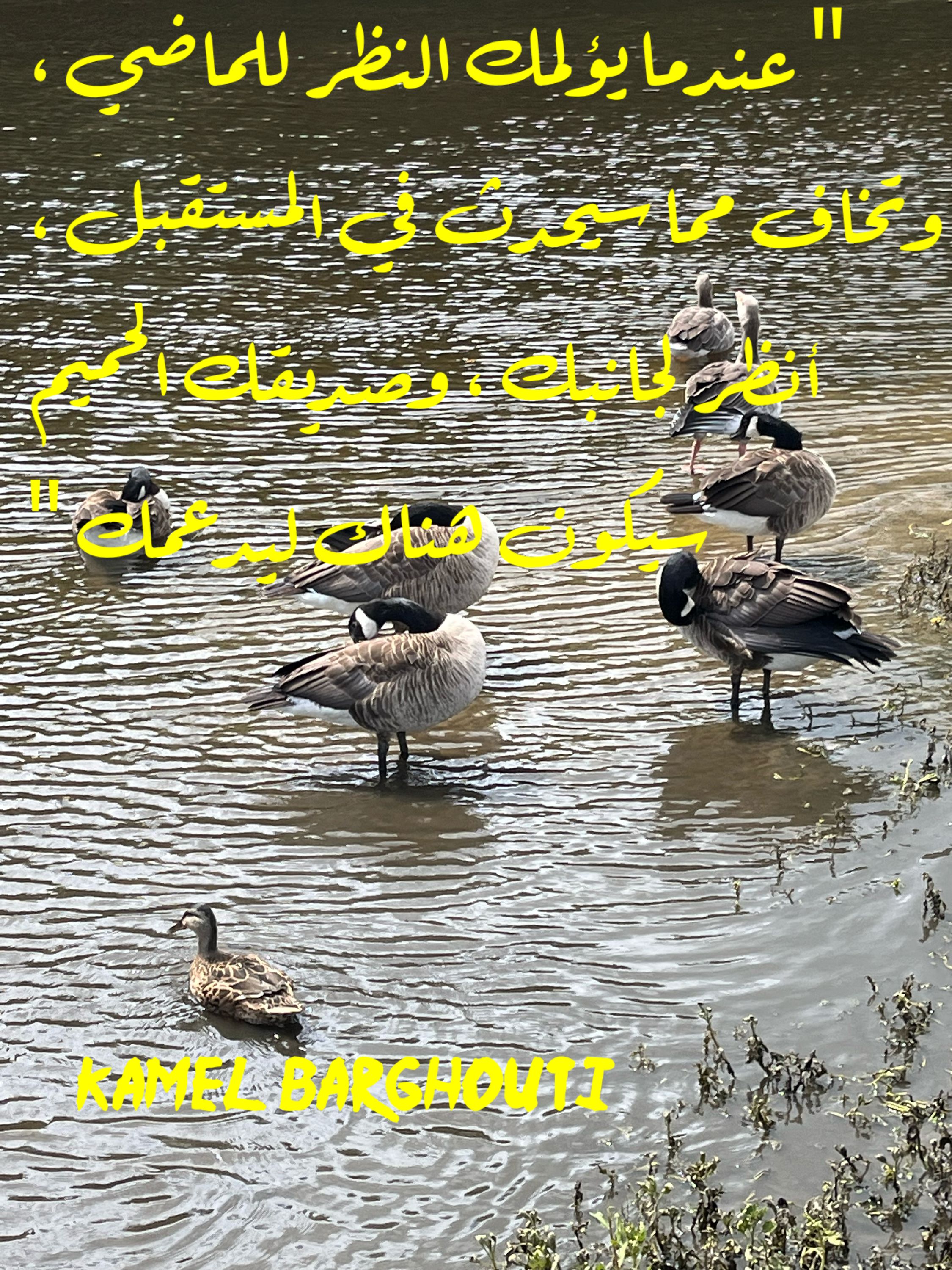 صداقة – اقتباس 37