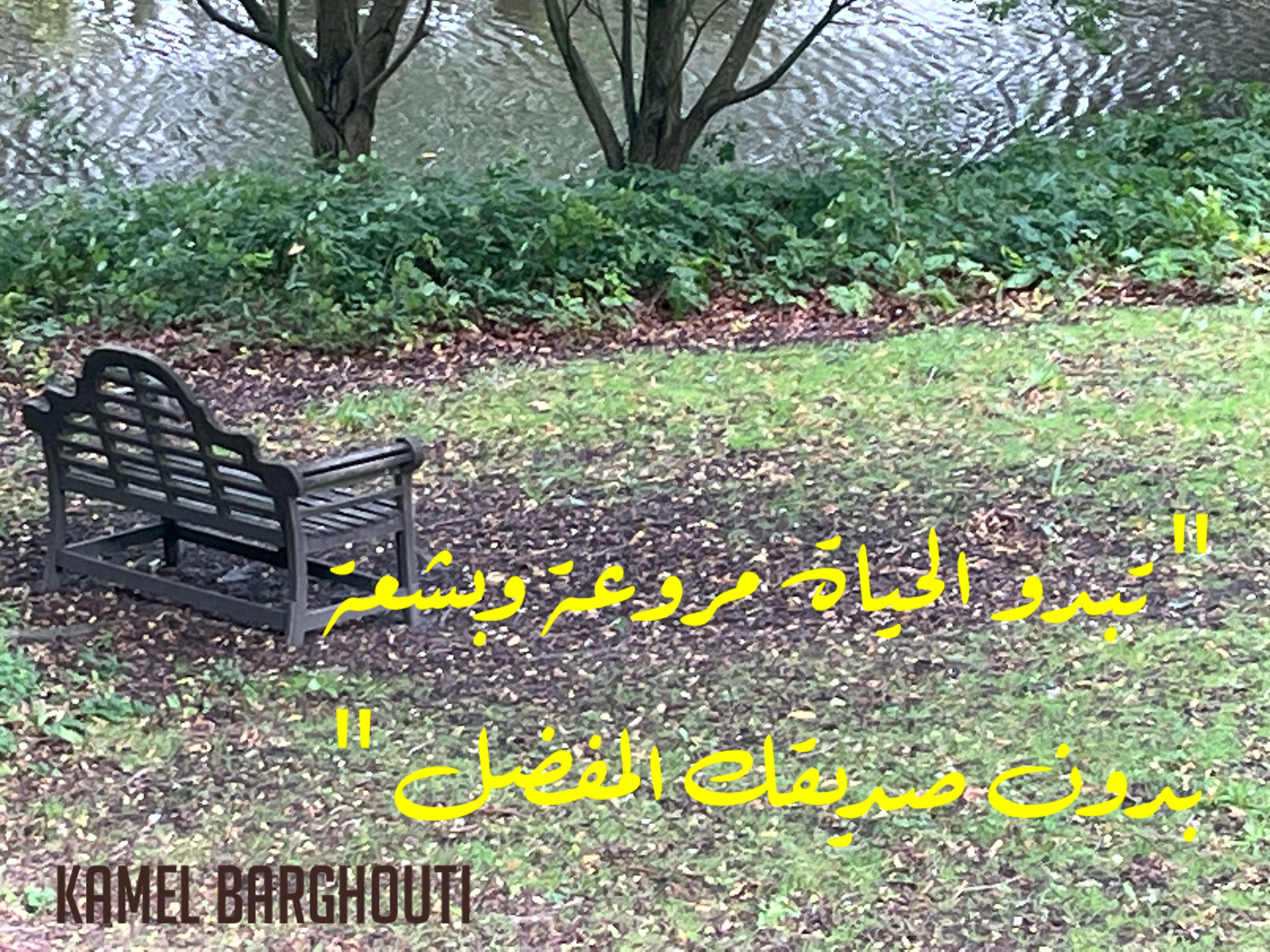 صداقة – اقتباس 41
