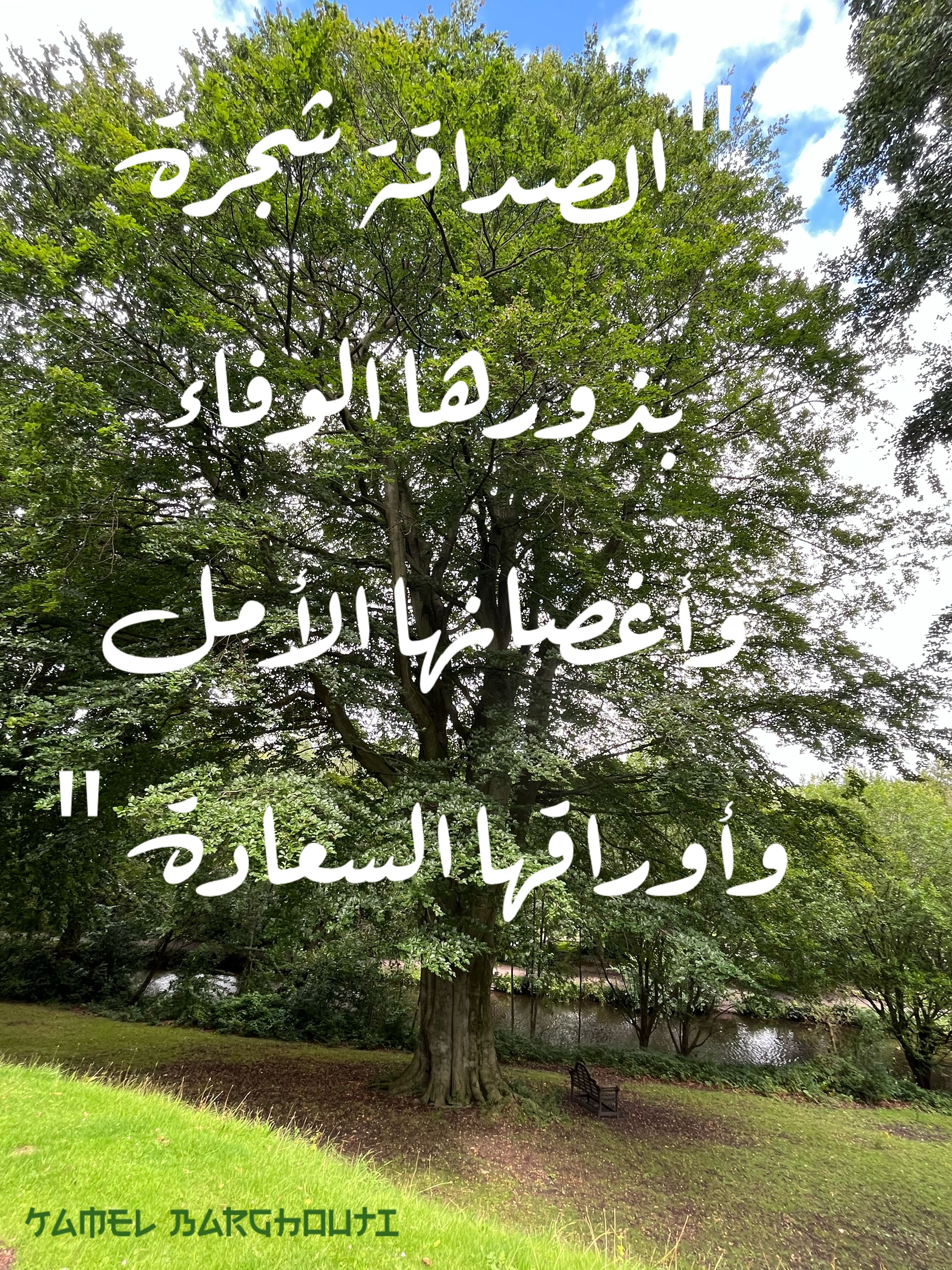 صداقة – اقتباس 24
