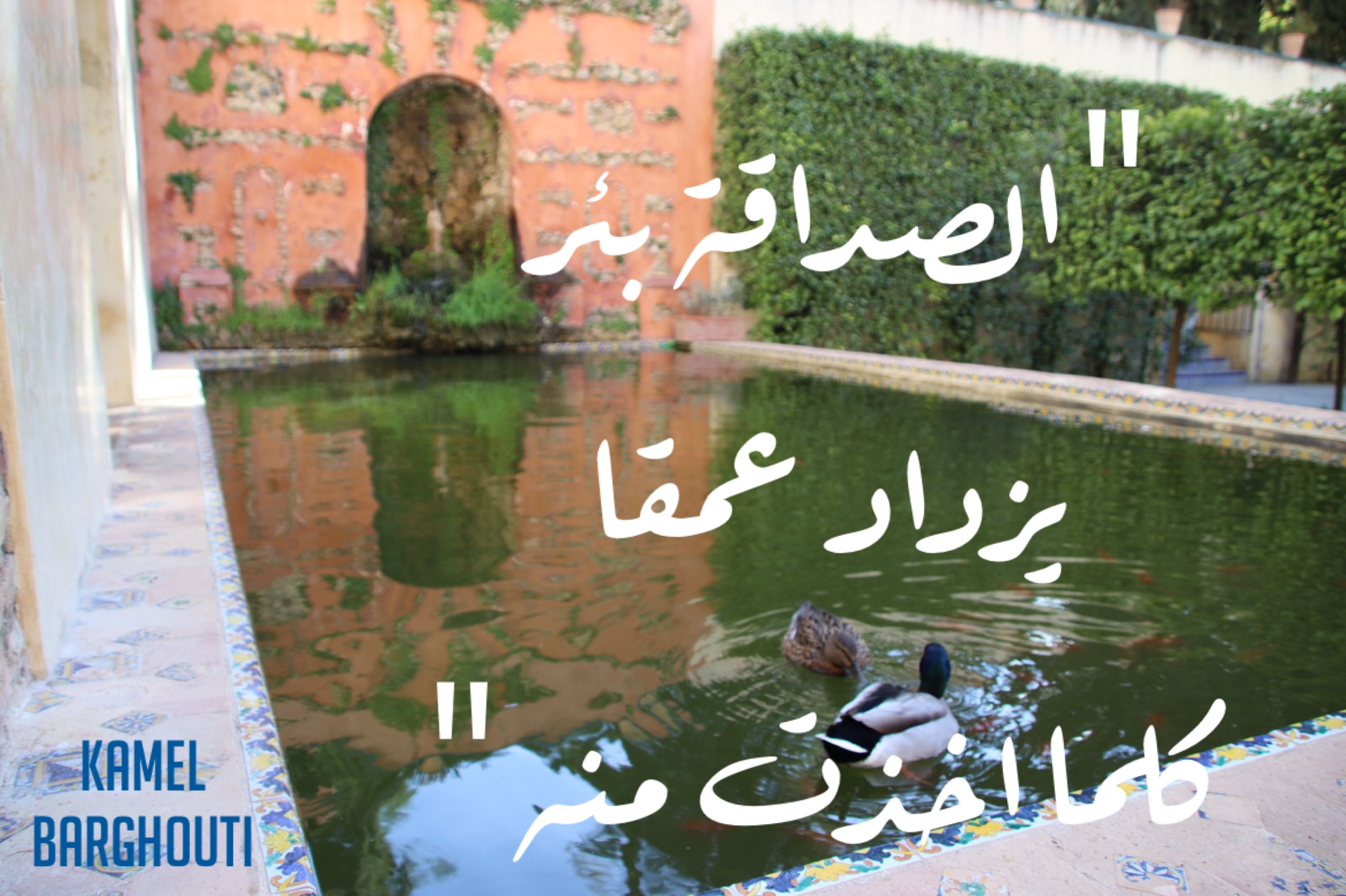 صداقة – اقتباس 20