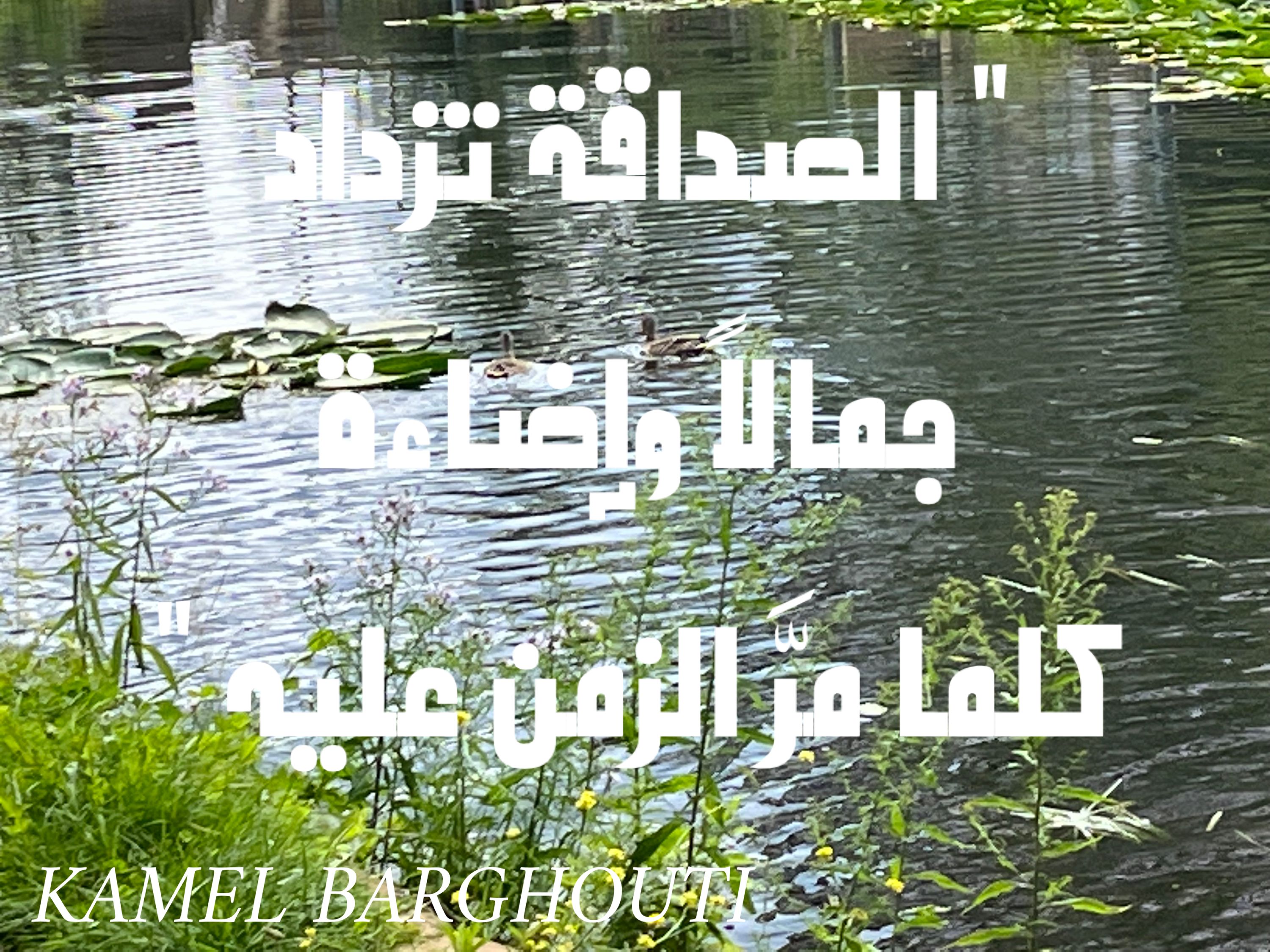 صداقة – اقتباس 29