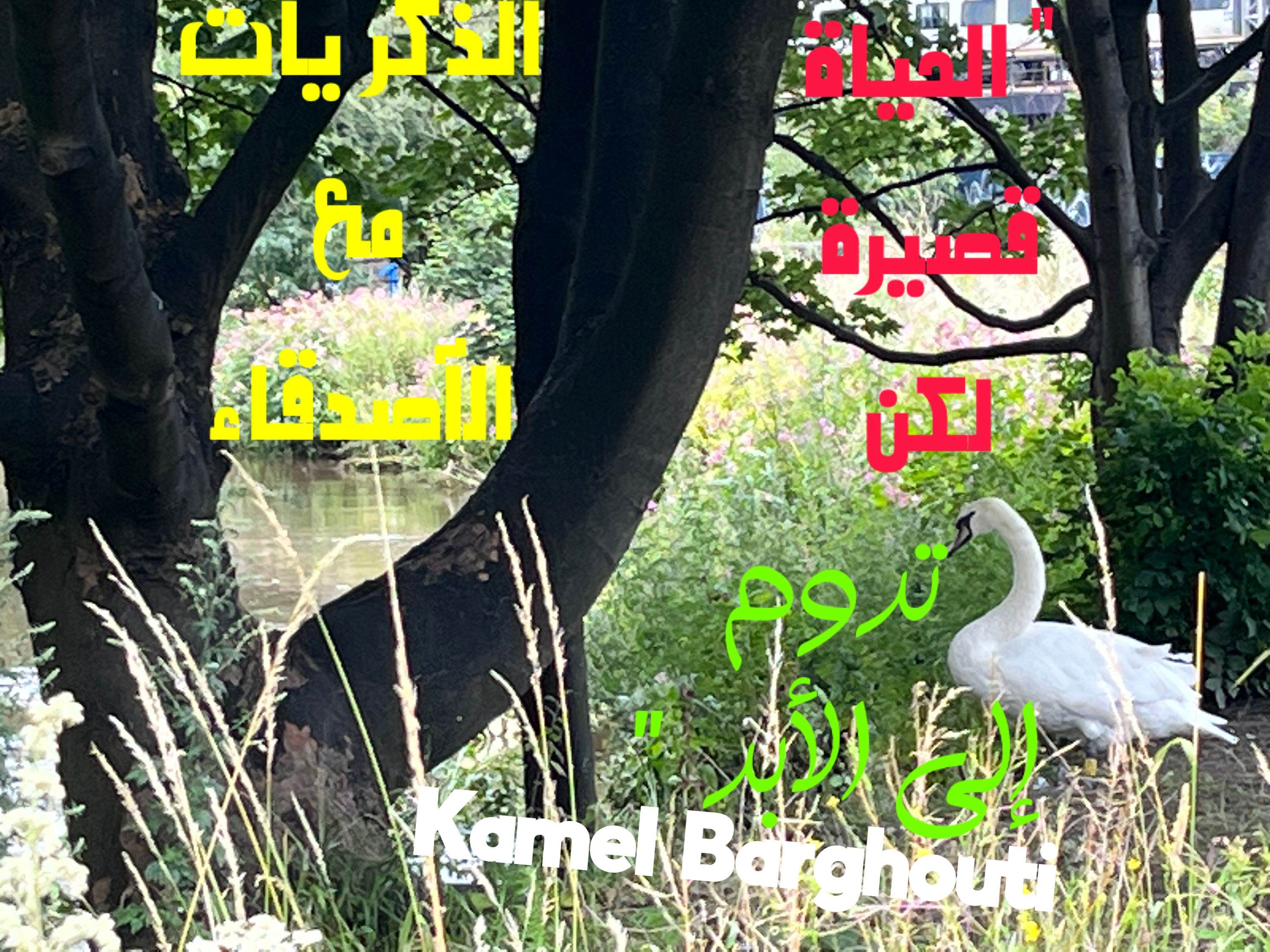 صداقة – اقتباس 30