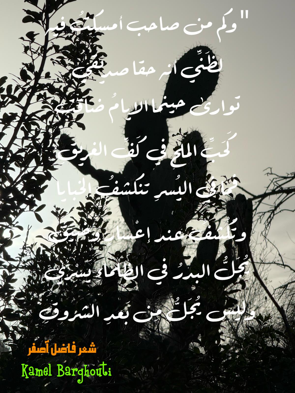 صداقة – اقتباس 4
