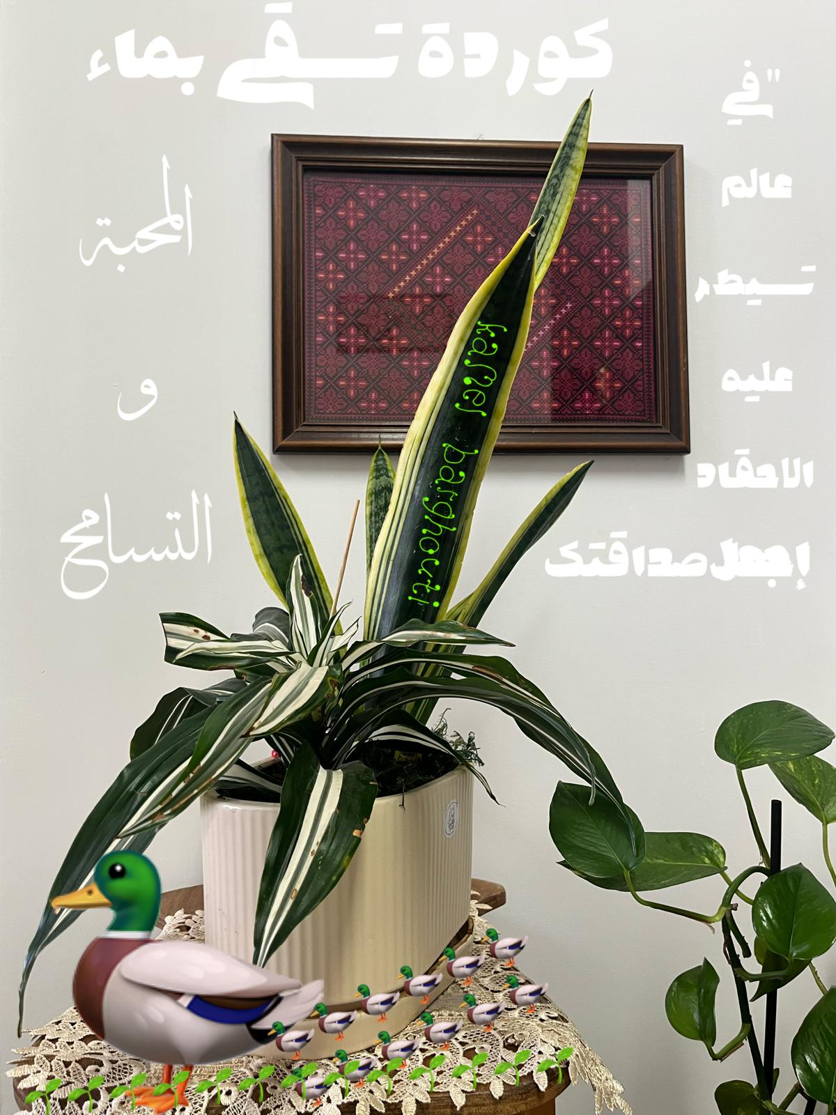 صداقة – اقتباس 7