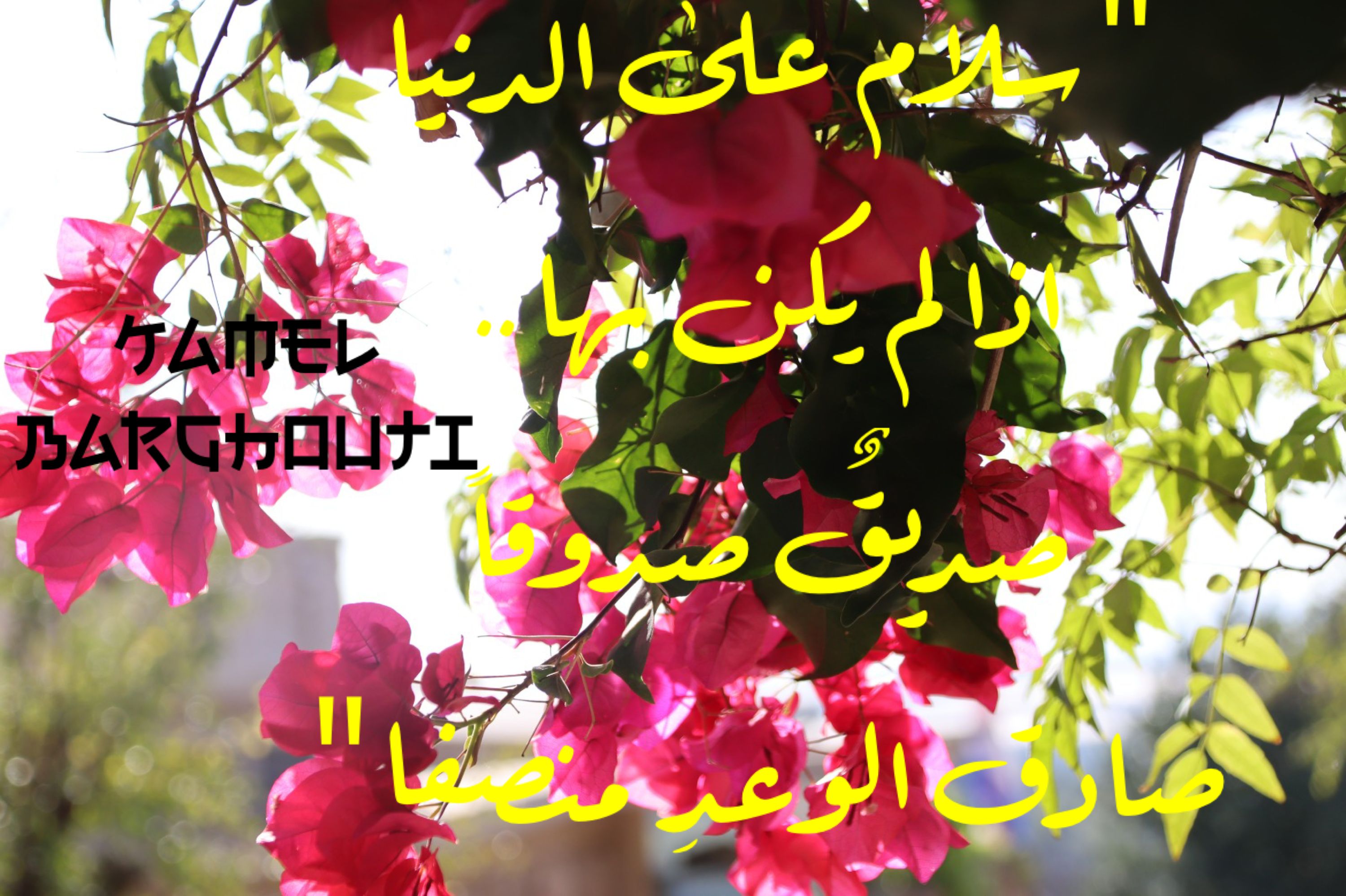 صداقة – اقتباس 18