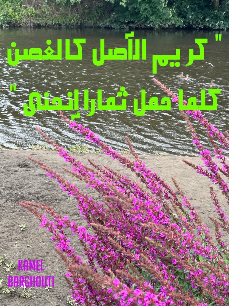 الكرم والعطاء – اقتباس 81
