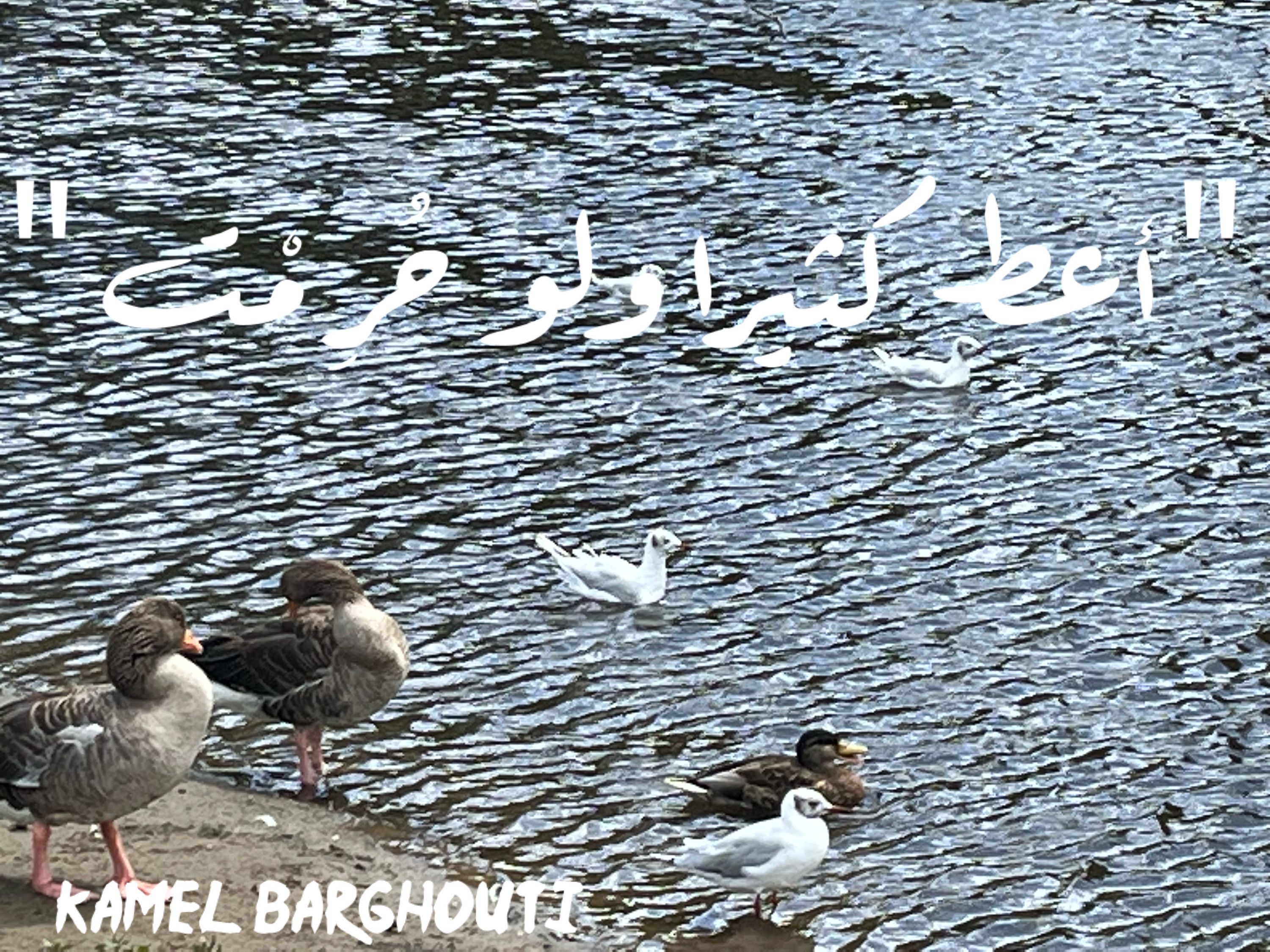الكرم والعطاء – اقتباس 74