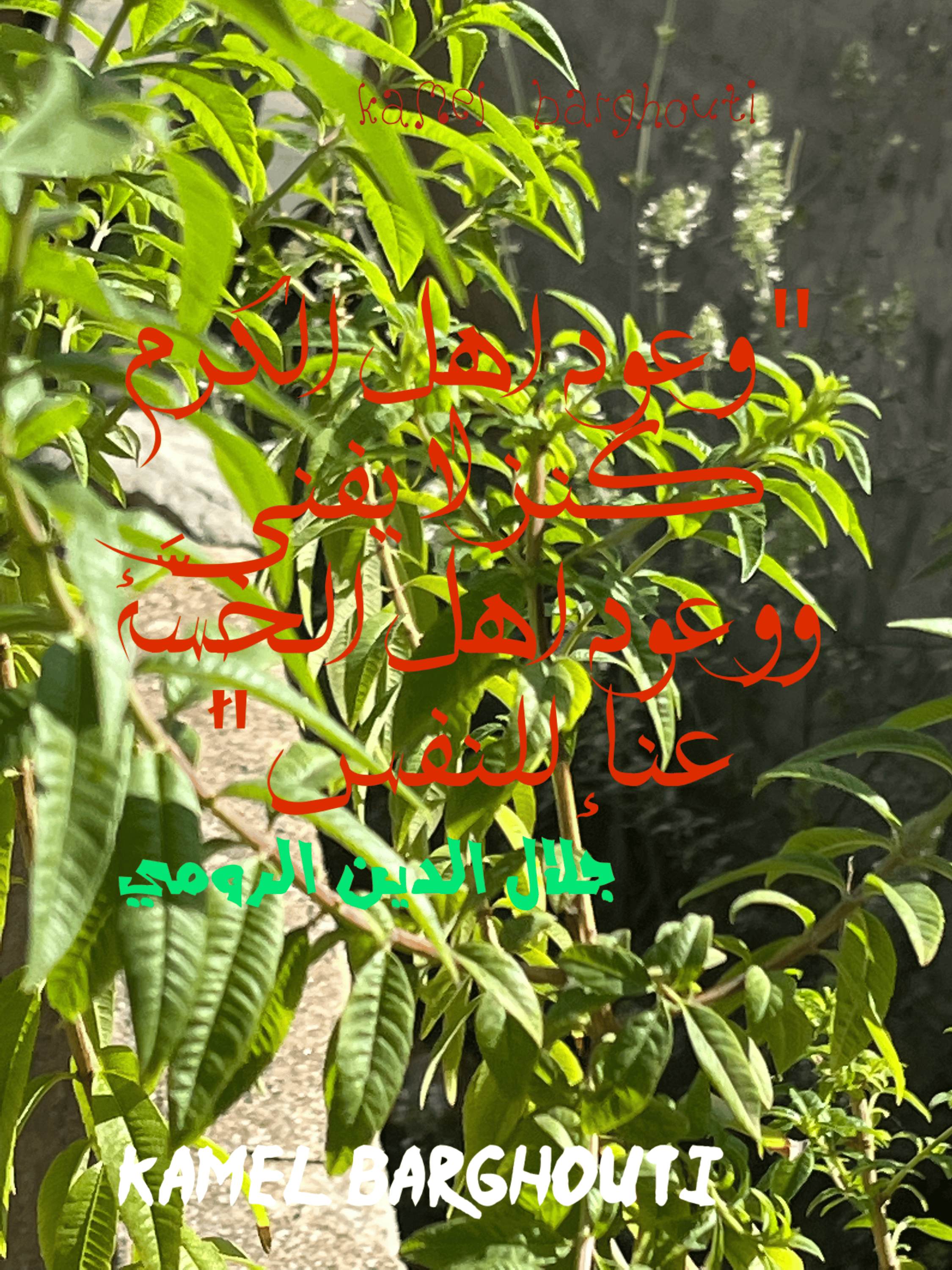 الكرم والعطاء – اقتباس 49