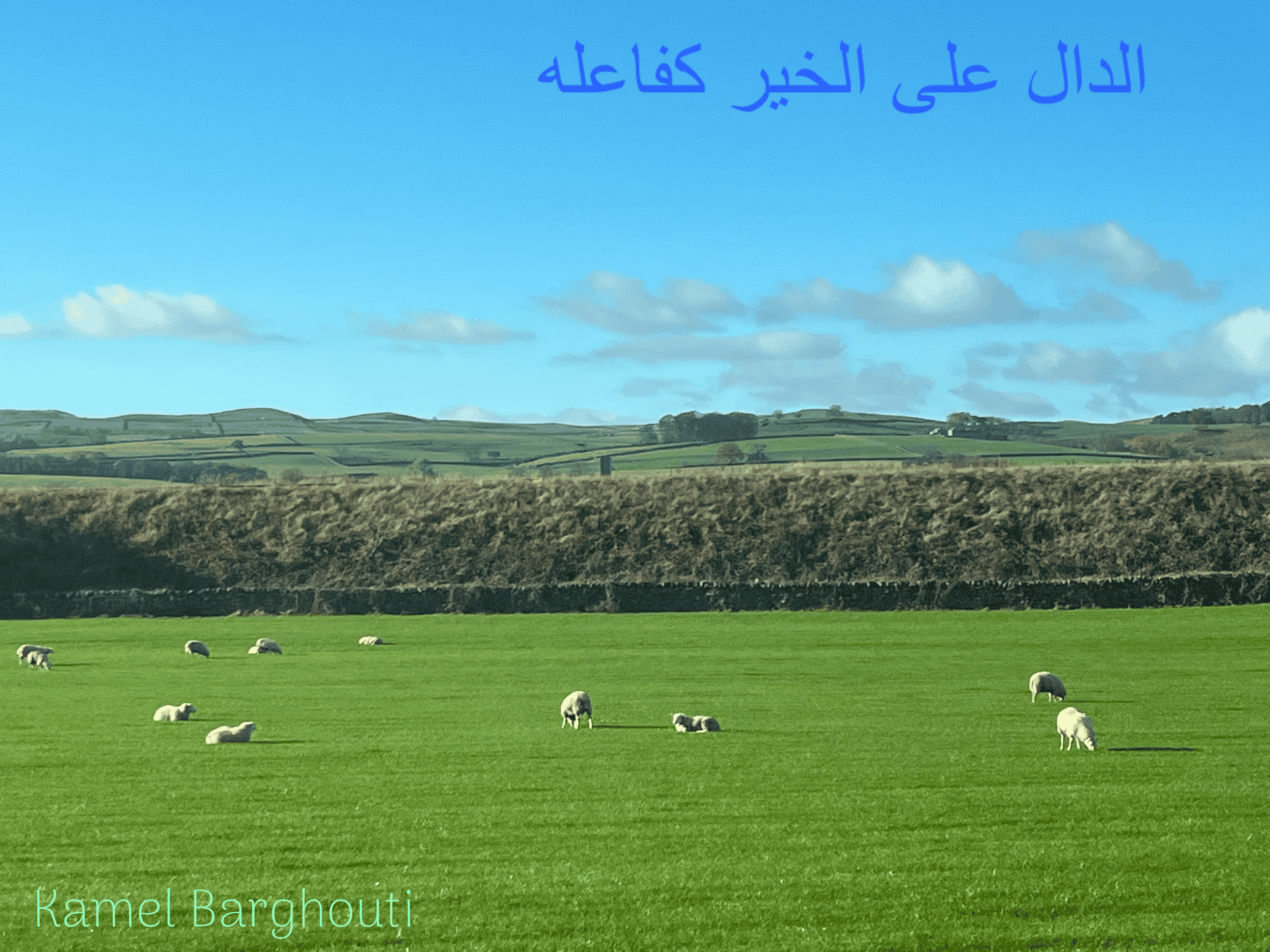 الكرم والعطاء – اقتباس 39