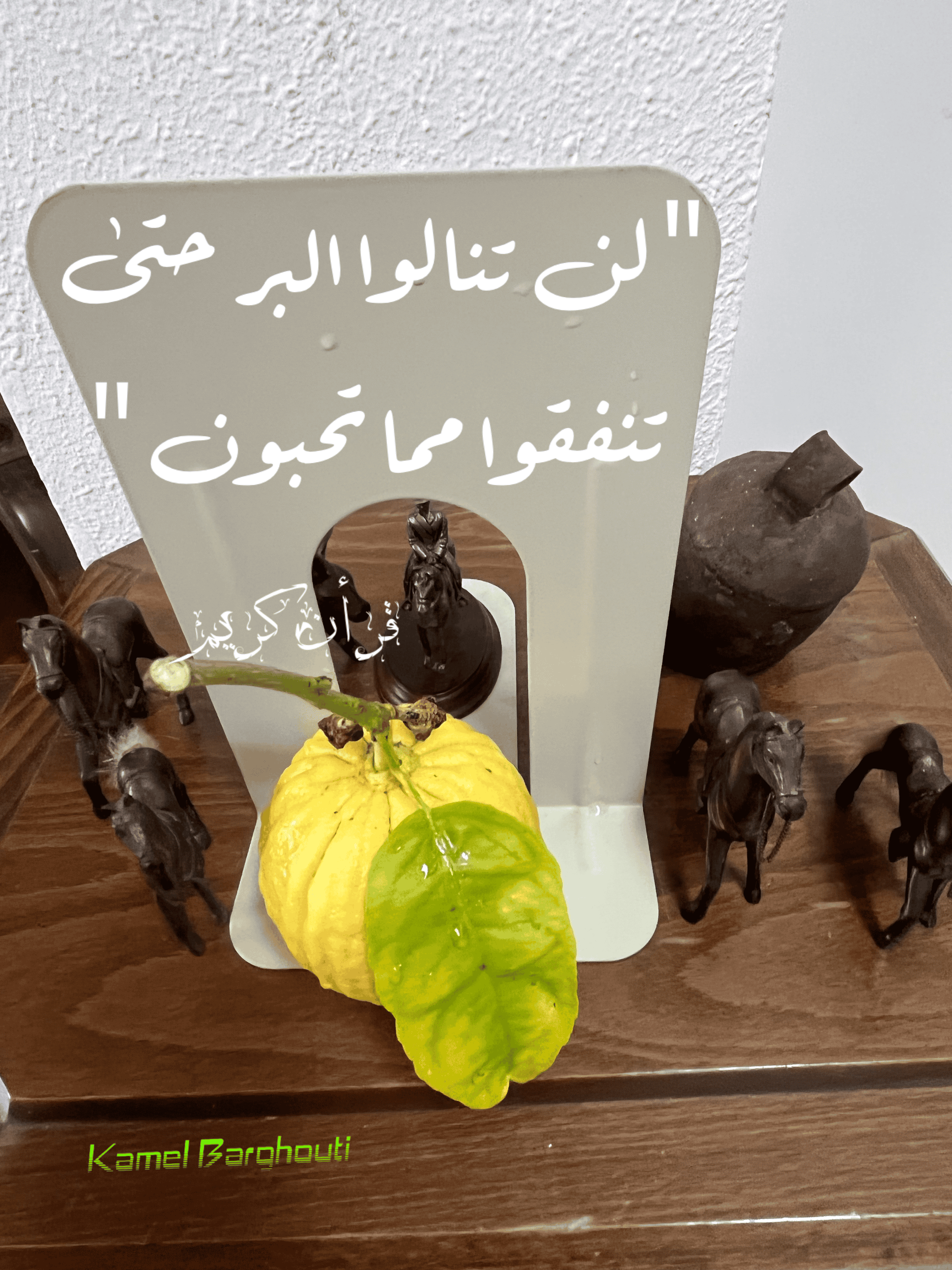 الكرم والعطاء – اقتباس 8