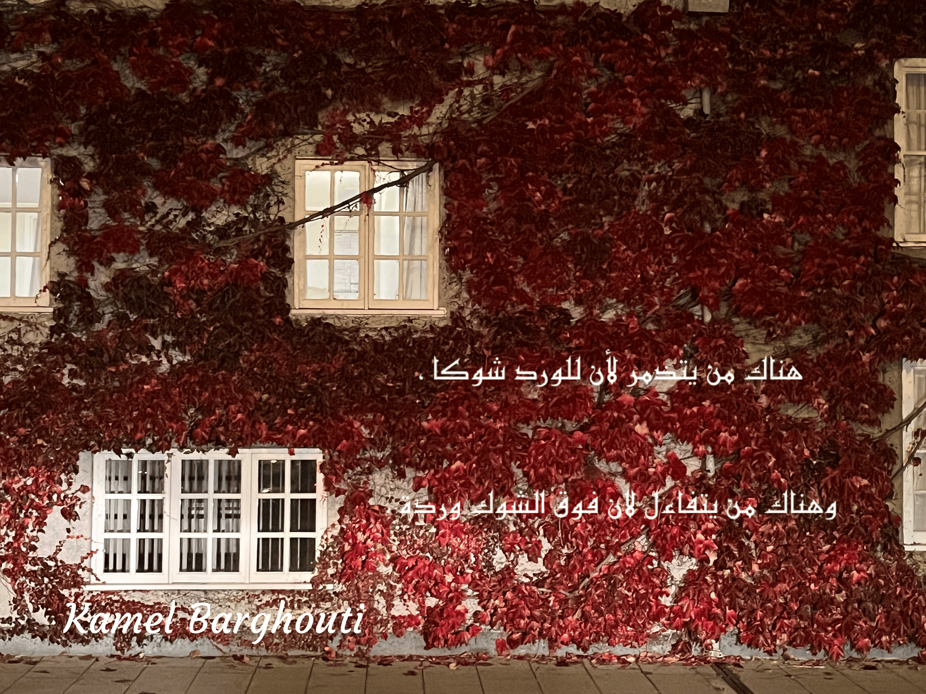 تفاؤل, أمل, وسعادة – اقتباس 90
