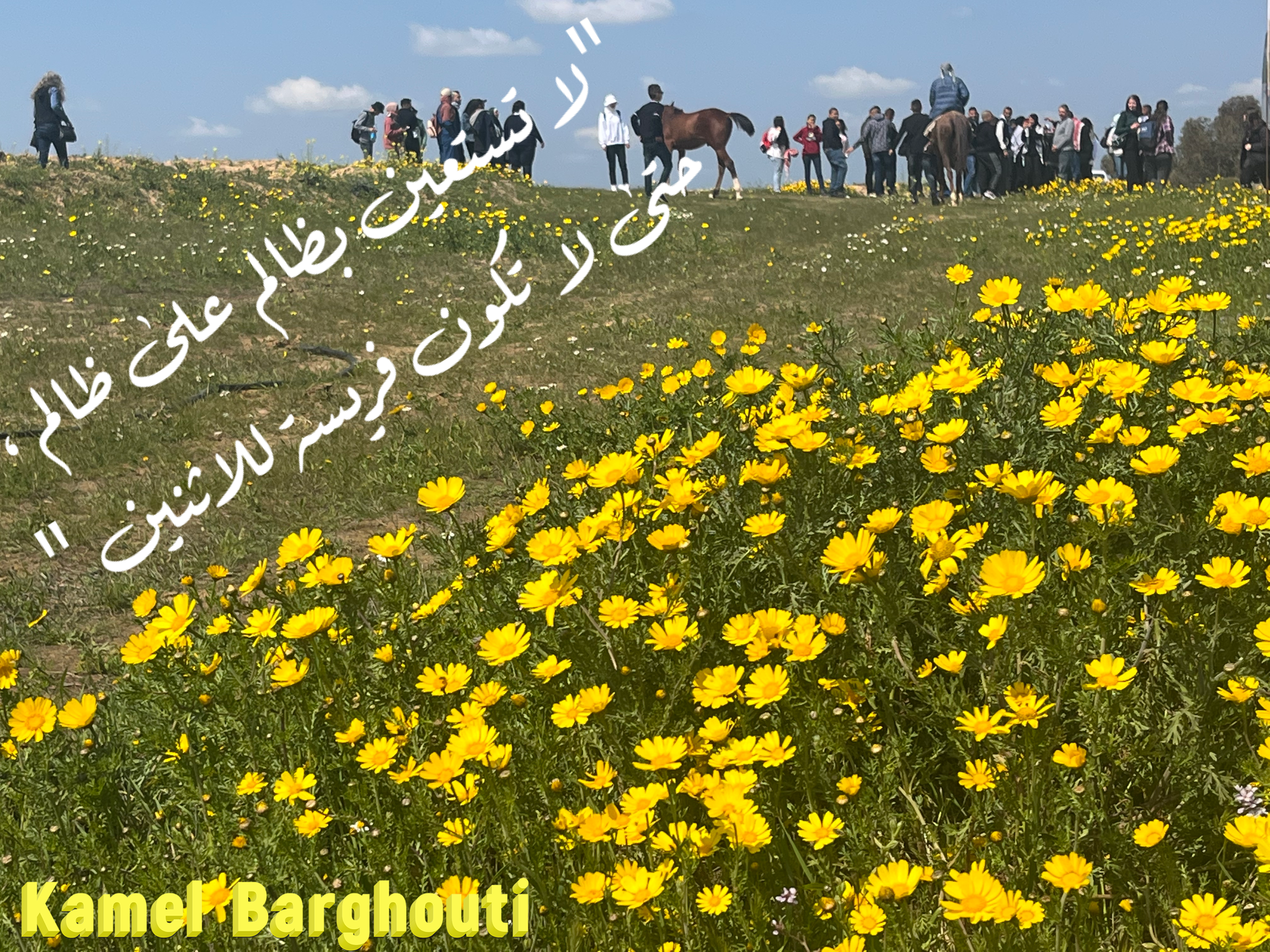 فخر وكرامة – اقتباس 184