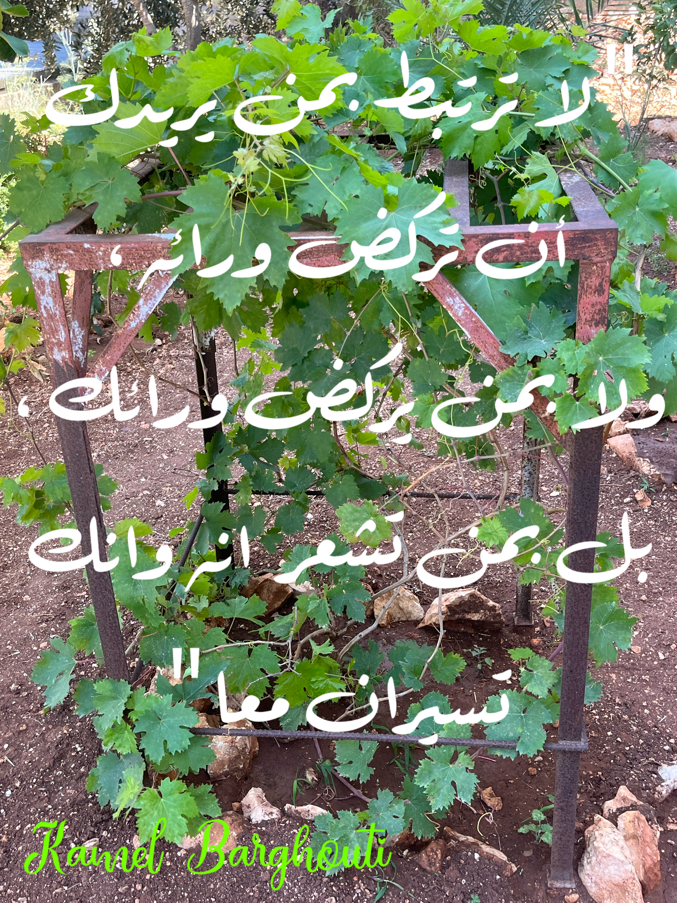 فخر وكرامة – اقتباس 174