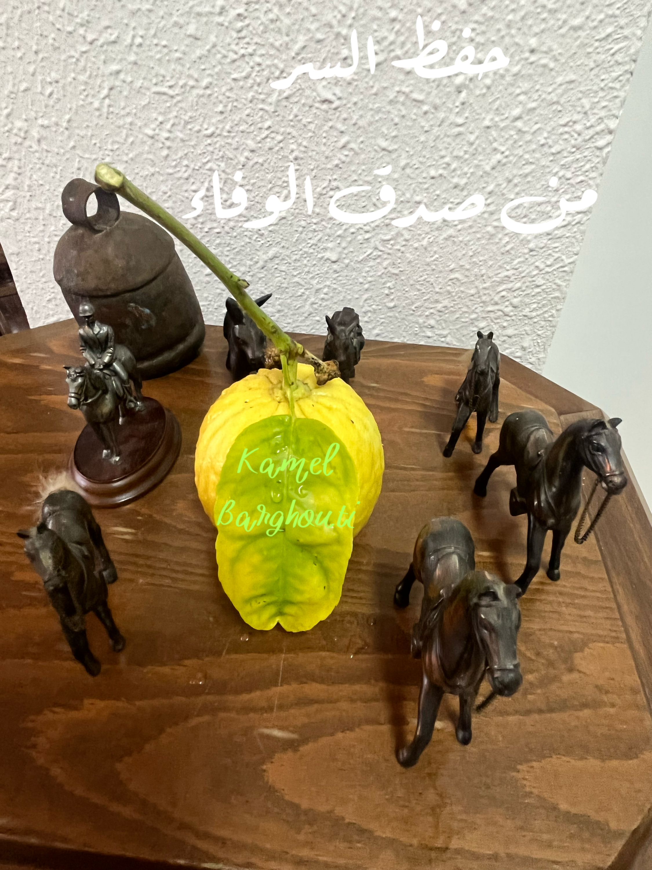 فخر وكرامة – اقتباس 170
