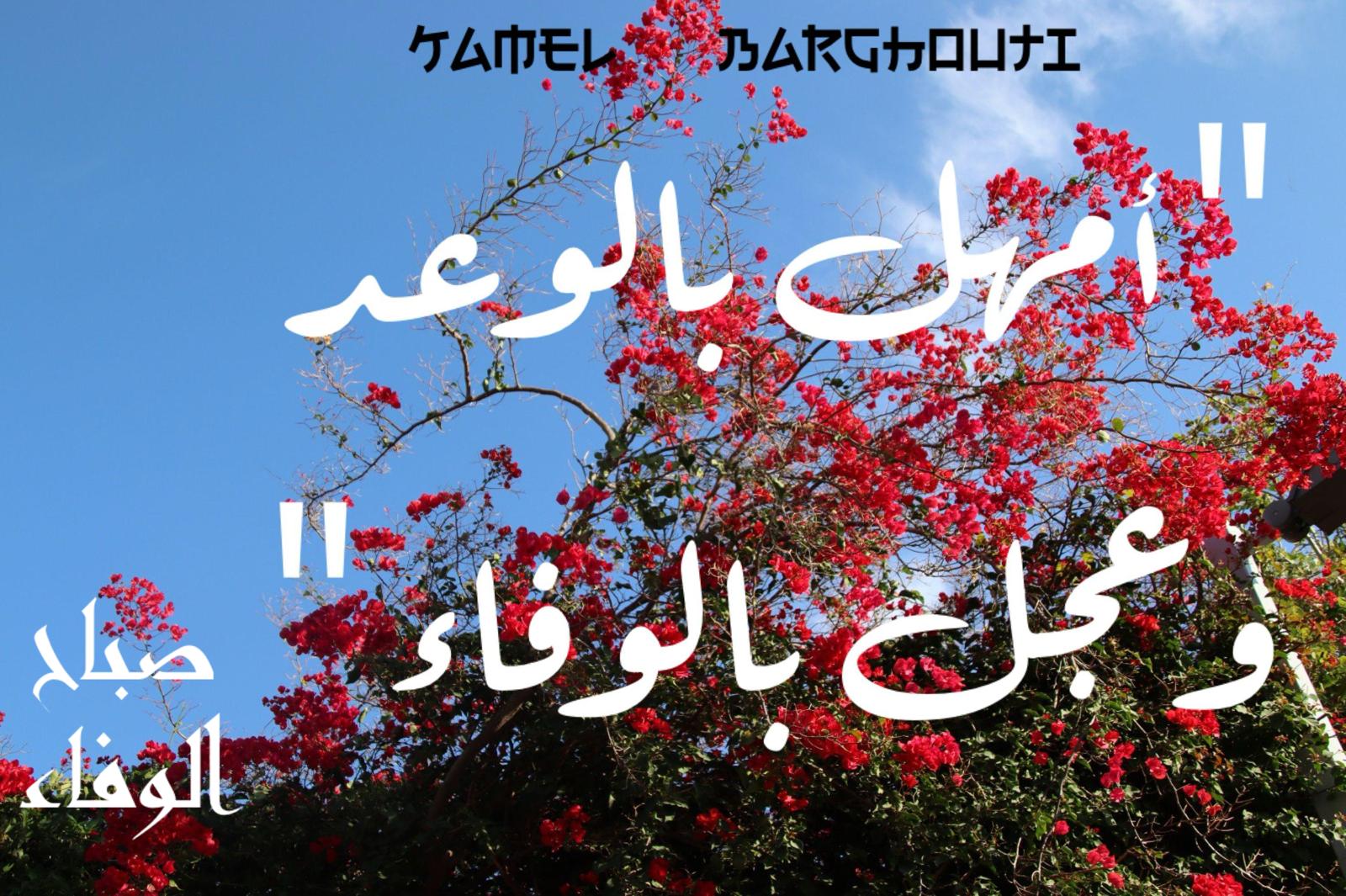 فخر وكرامة – اقتباس 122