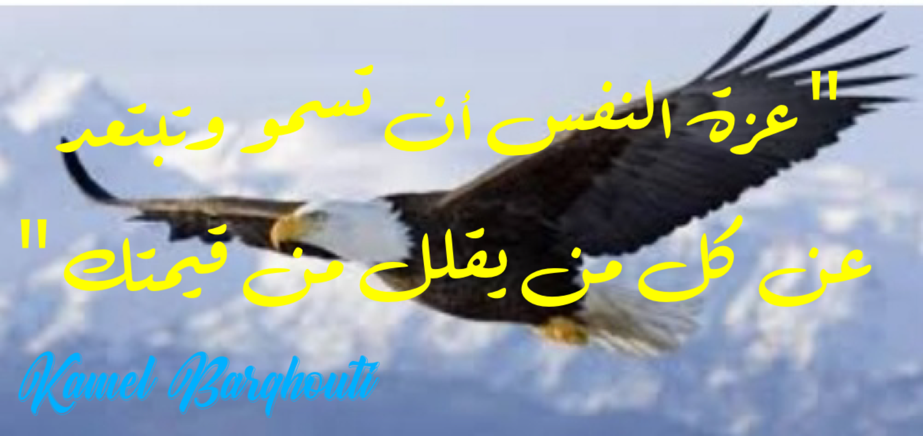 فخر وكرامة – اقتباس 129