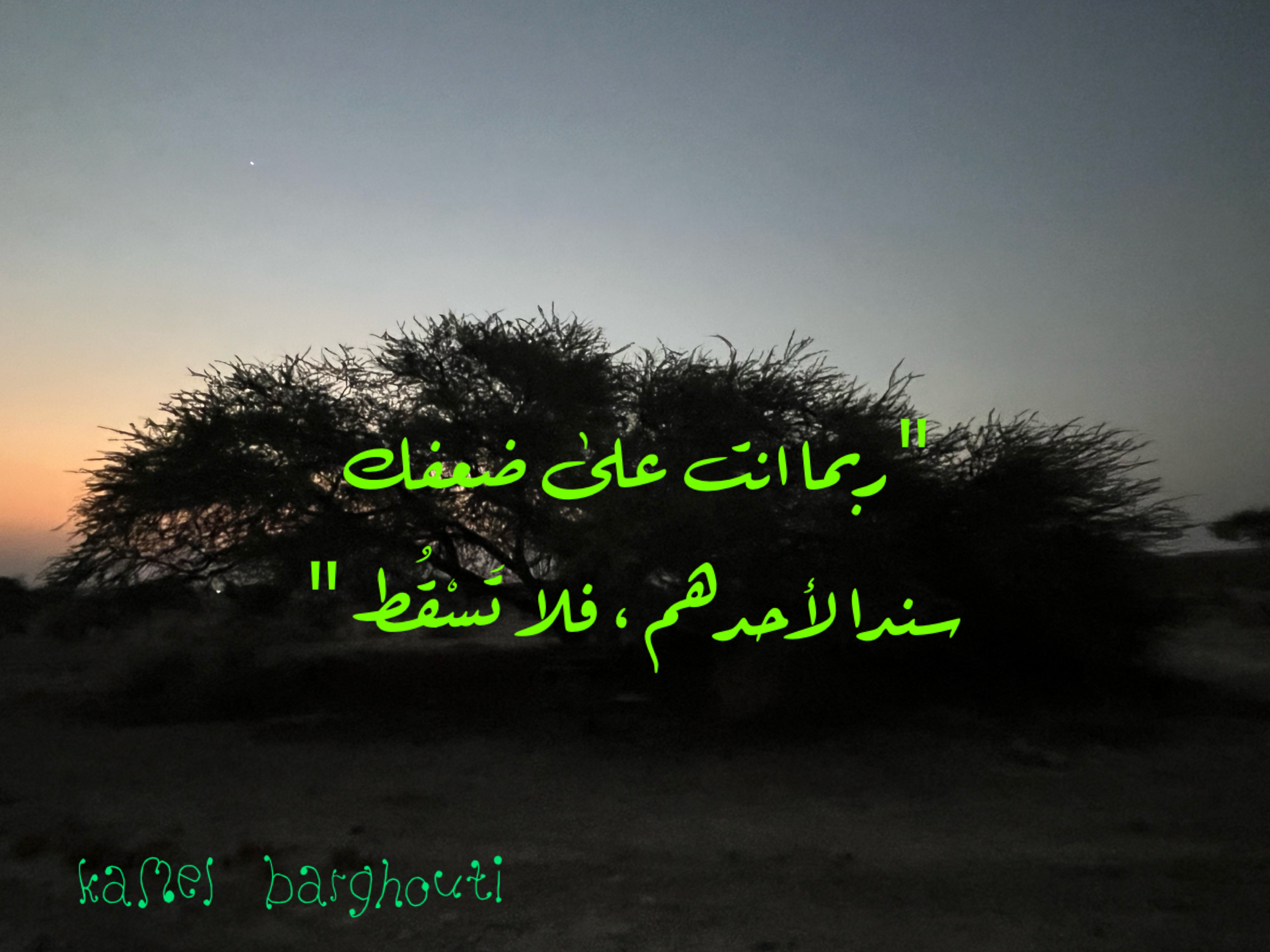 فخر وكرامة – اقتباس 108