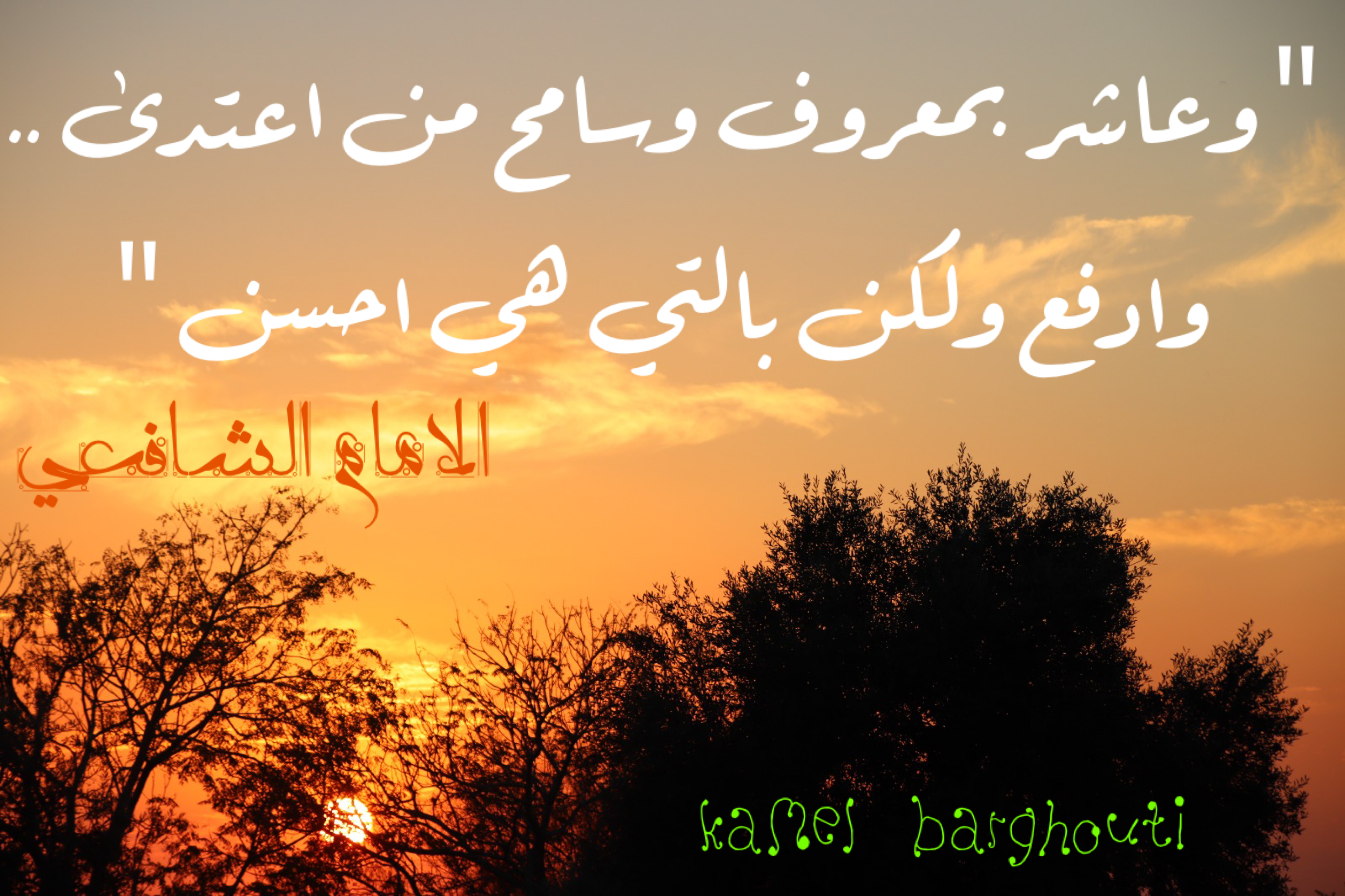 فخر وكرامة – اقتباس 106