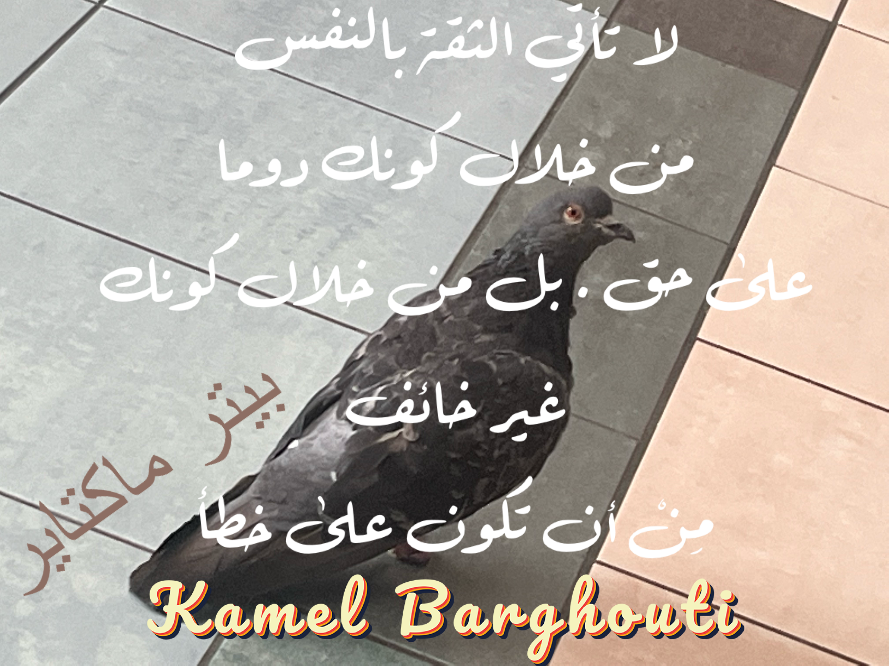 فخر وكرامة – اقتباس 103