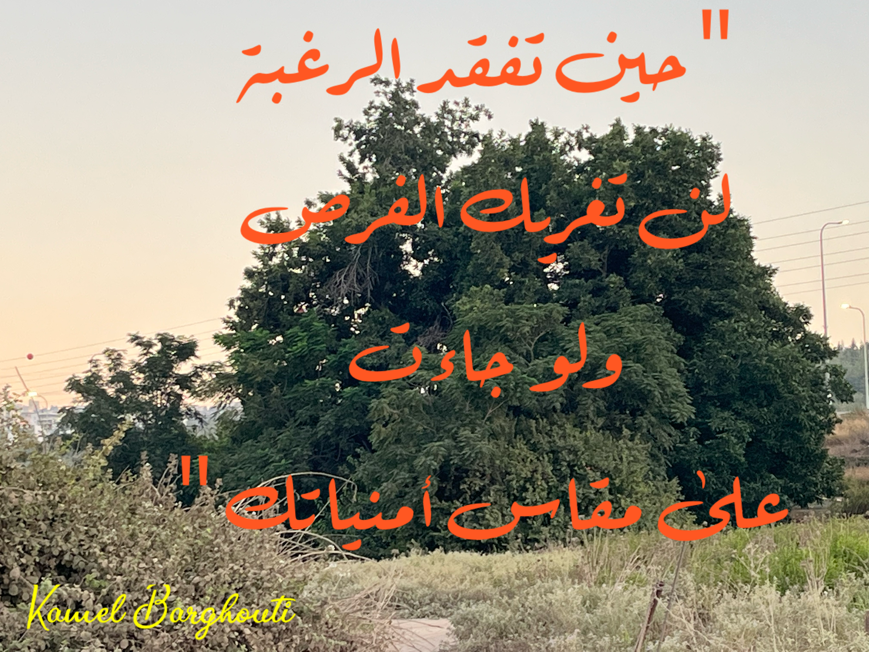 فخر وكرامة – اقتباس 81