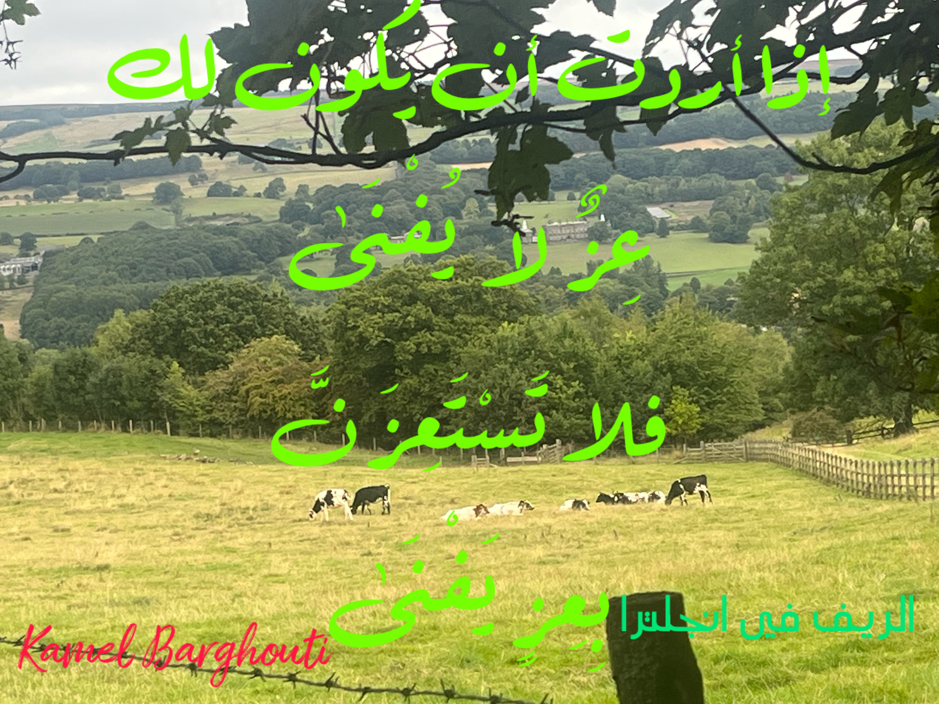 فخر وكرامة – اقتباس 80