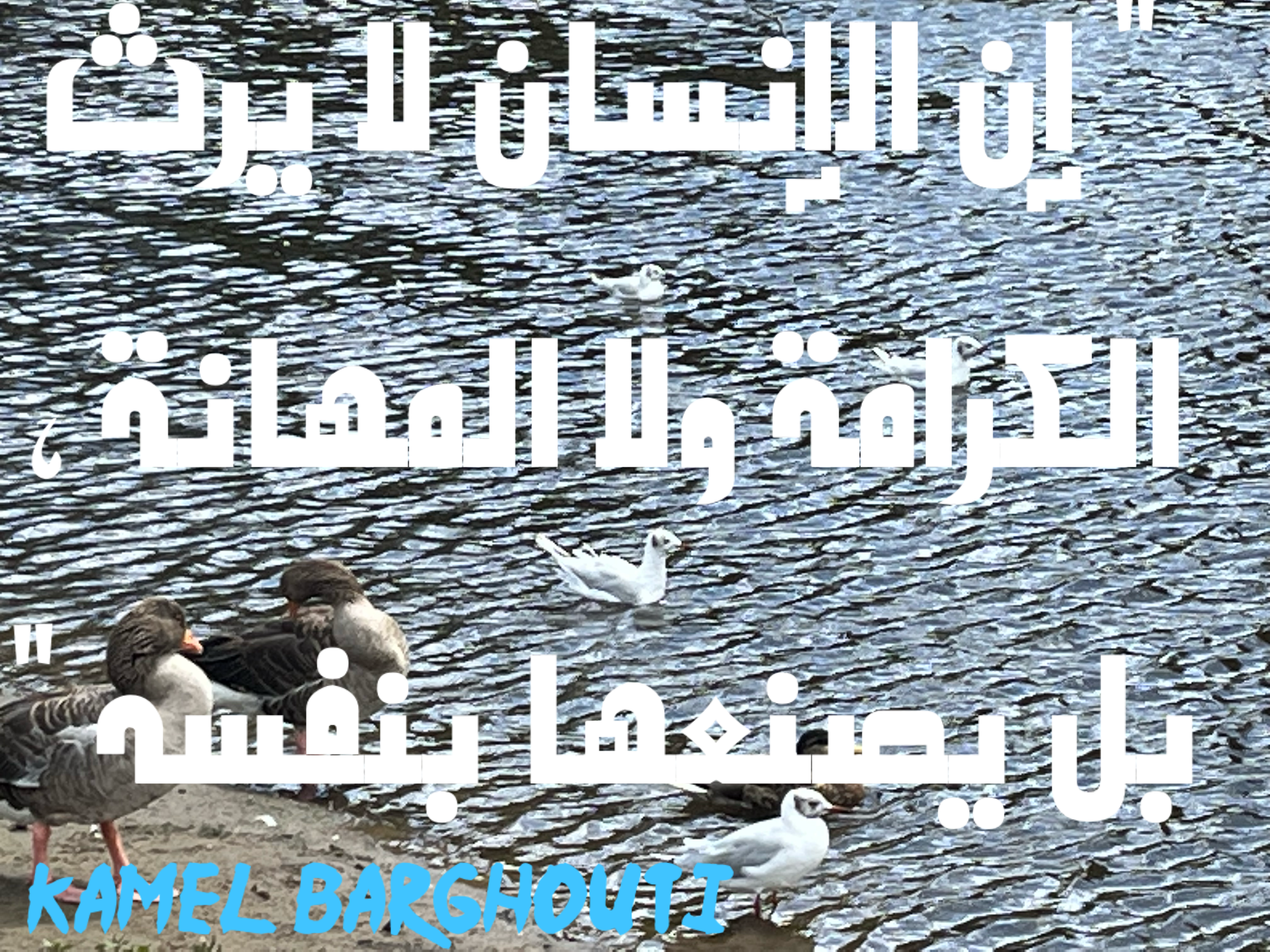 فخر وكرامة – اقتباس 61