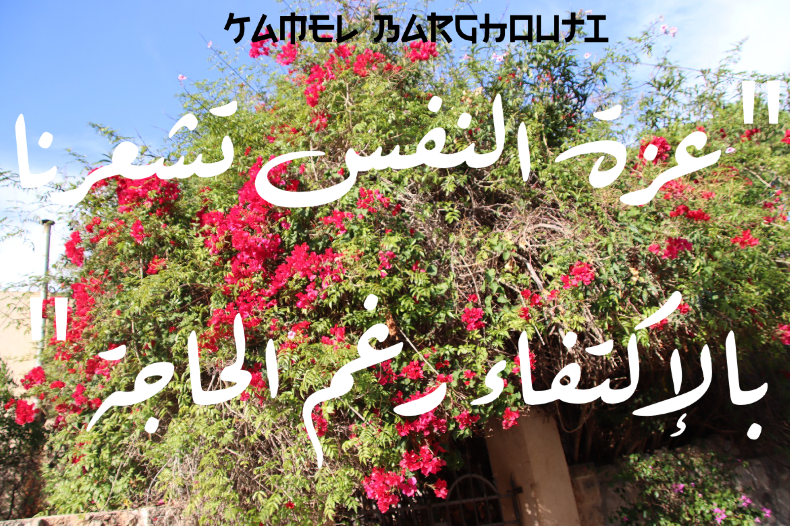 فخر وكرامة – اقتباس 53