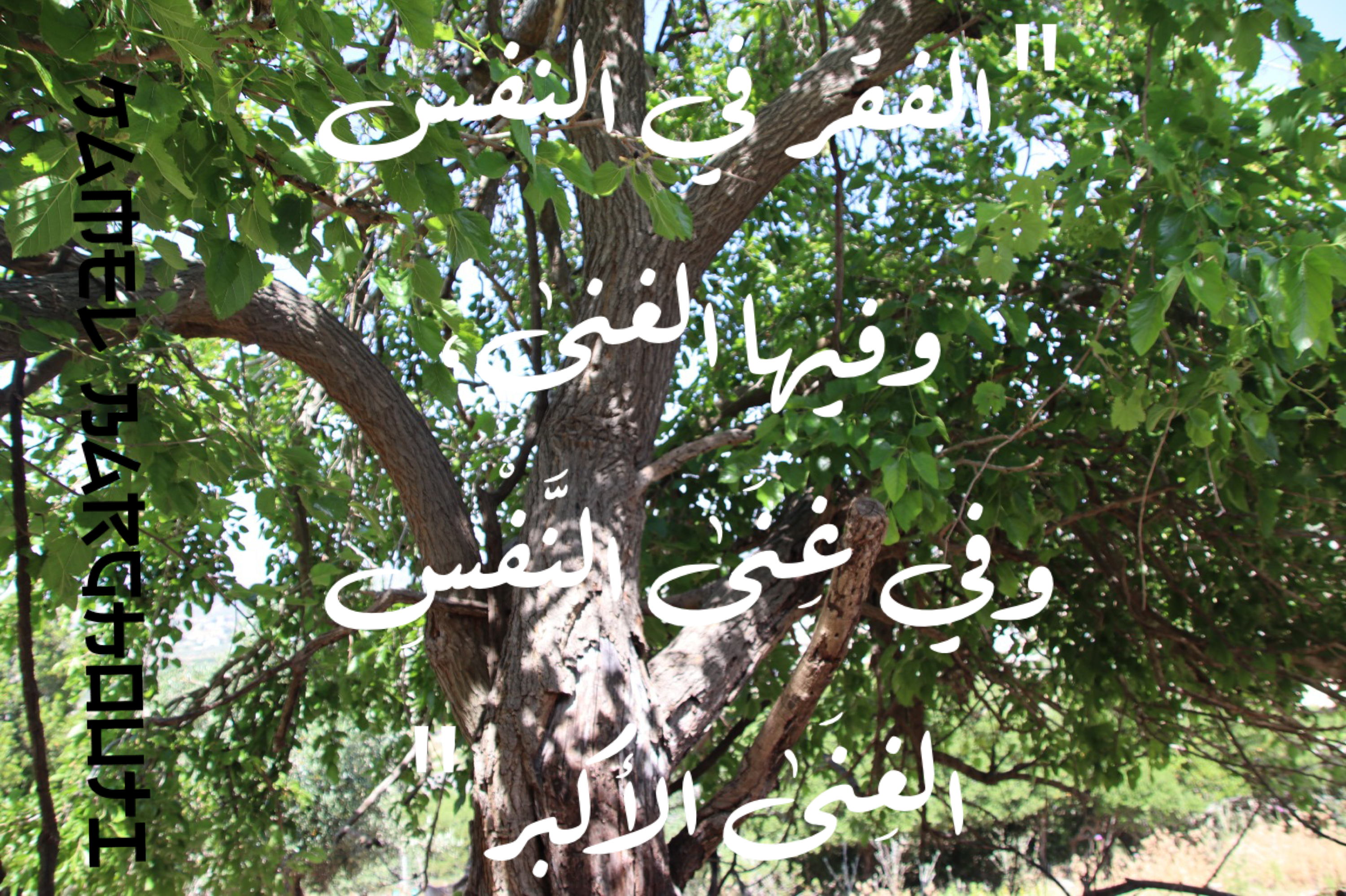 فخر وكرامة – اقتباس 49